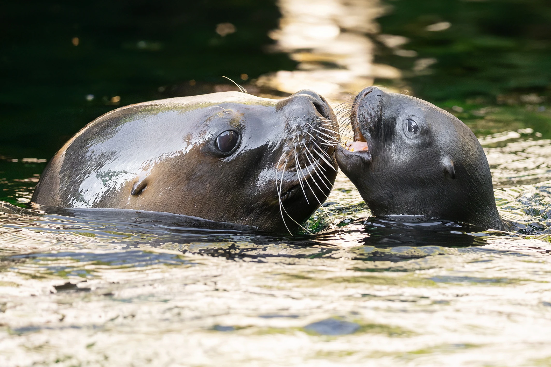 Bilder des Tages