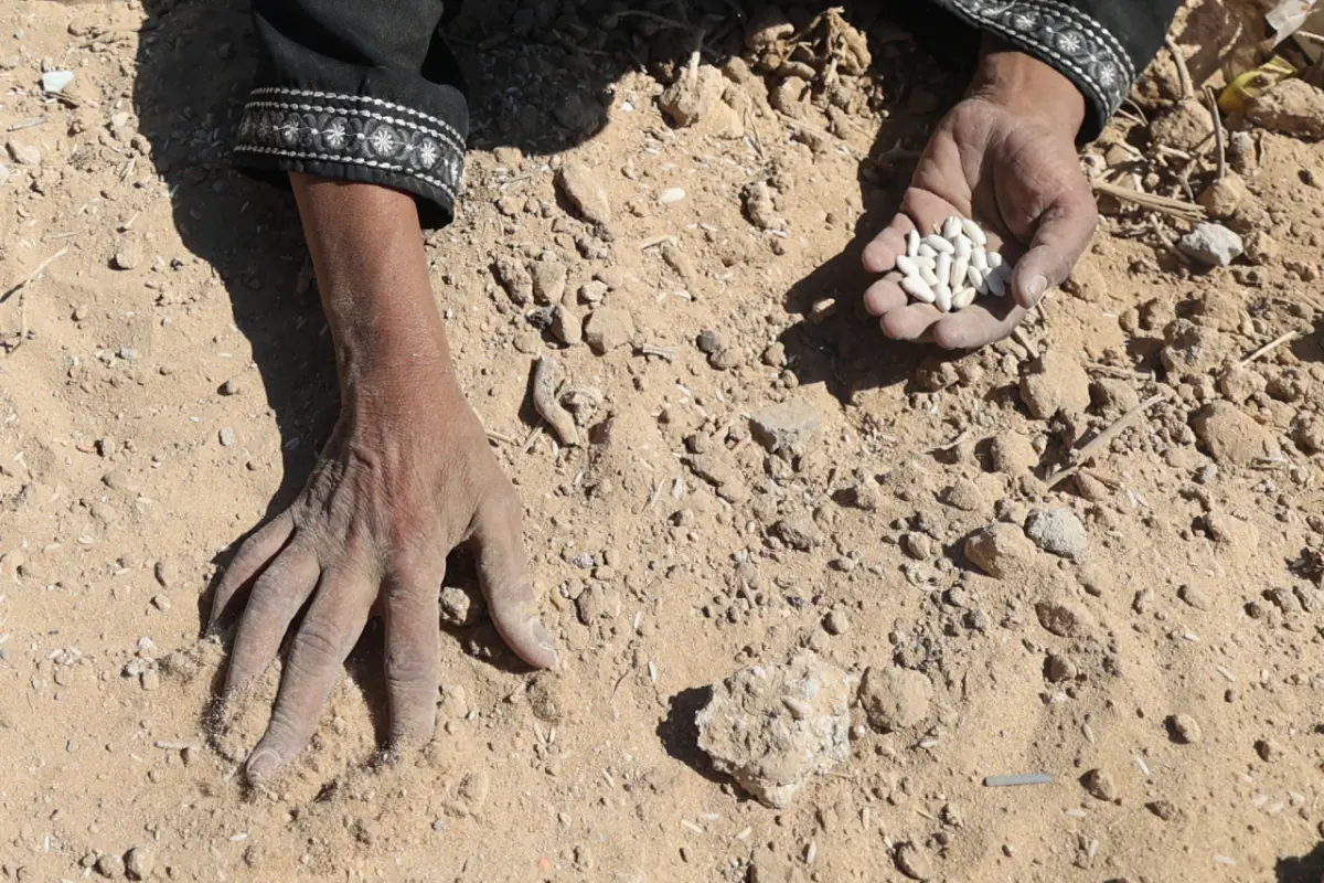 EU-Fraktionschefs werfen Israel Genozid vor (Symbolbild)