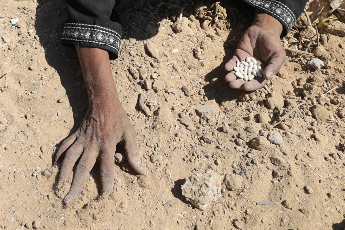 EU-Fraktionschefs werfen Israel Genozid vor (Symbolbild)