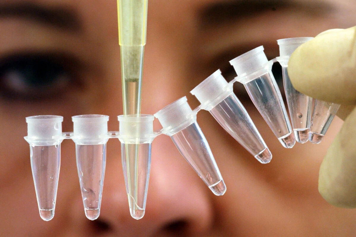 Sie soll die Anwendung der Genschere Crispr-Cas9 verbessern