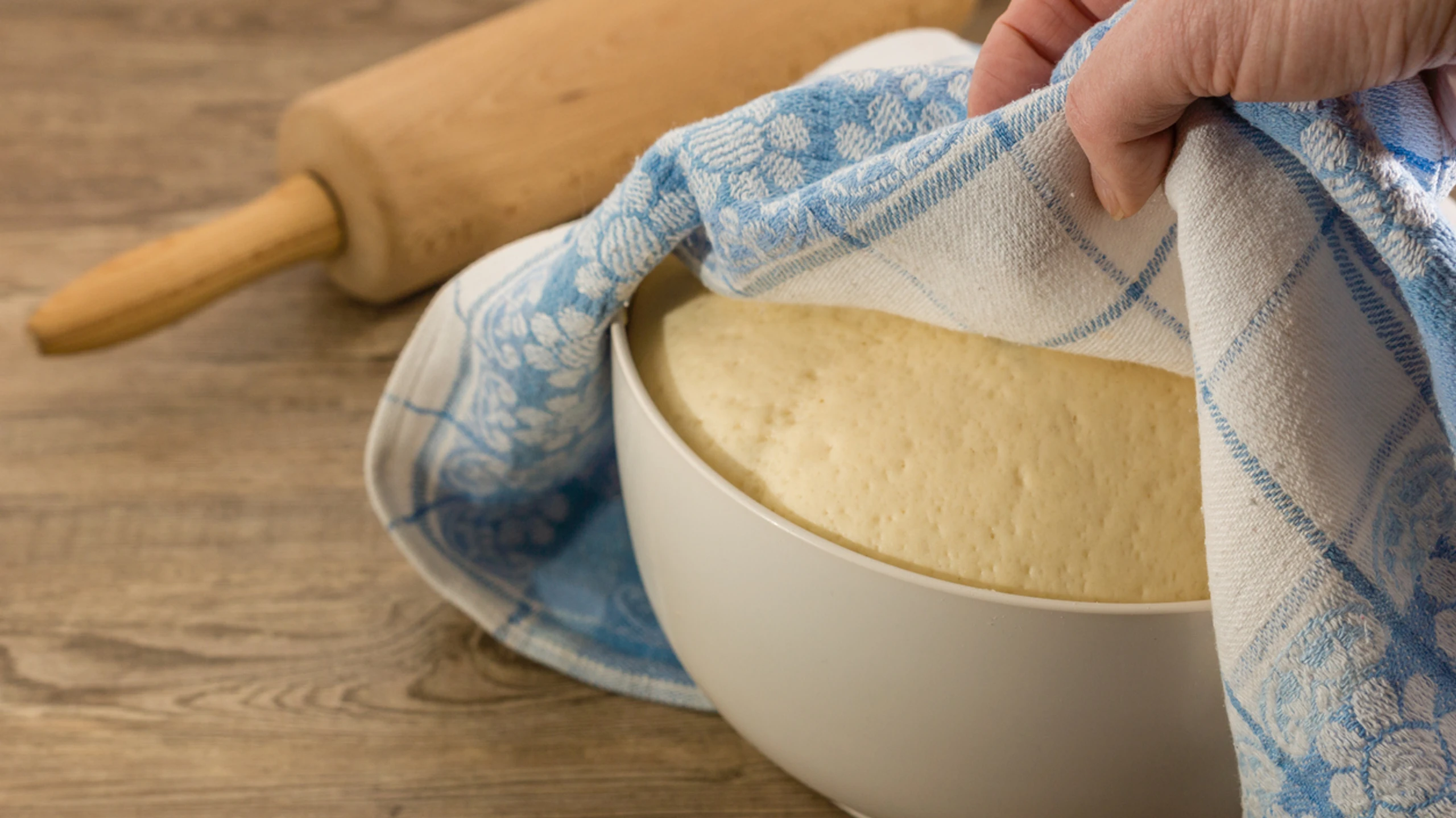 © iStock/SKatzenberger Hefe / Germ