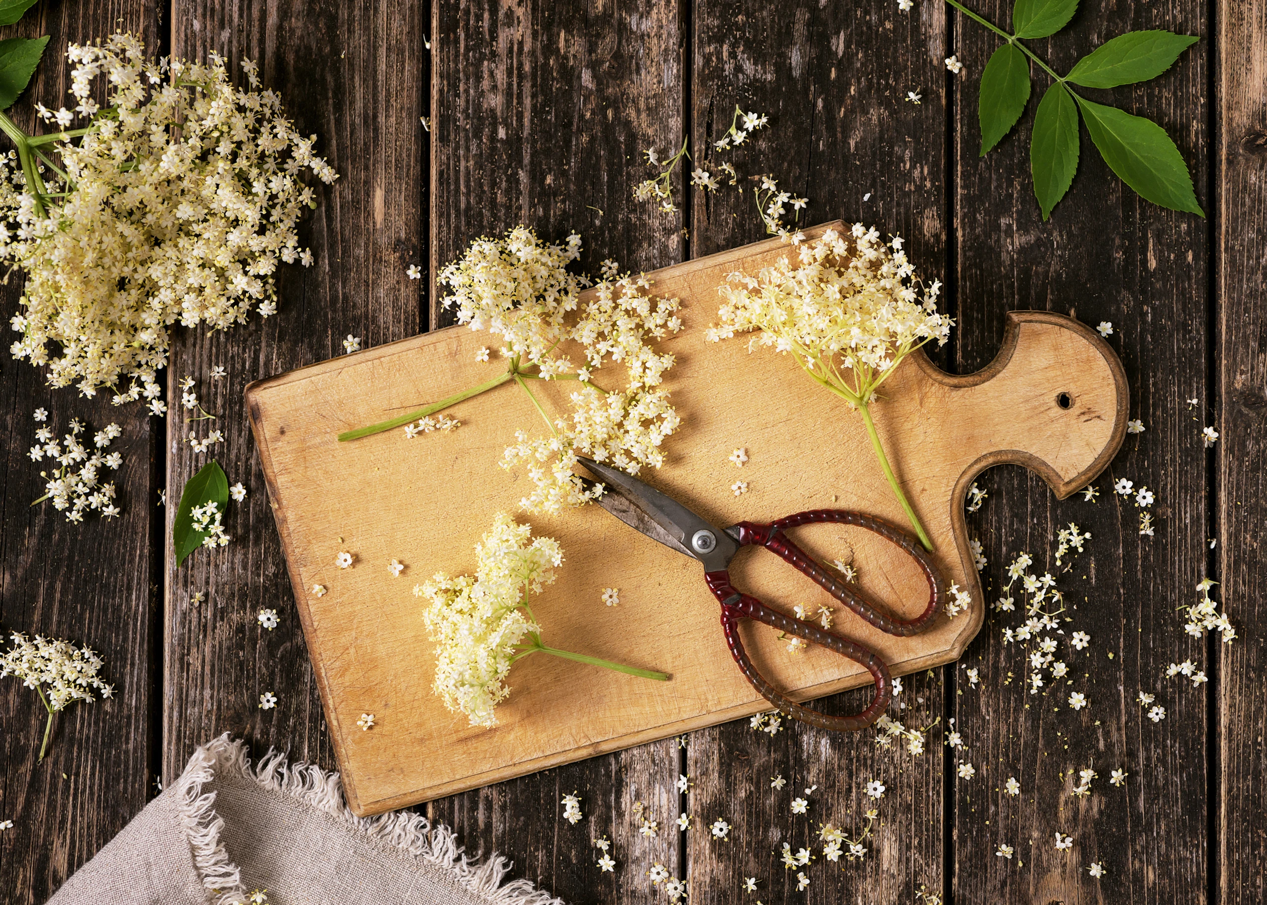 © iStock/Oksana_Schmidt Blurred image background