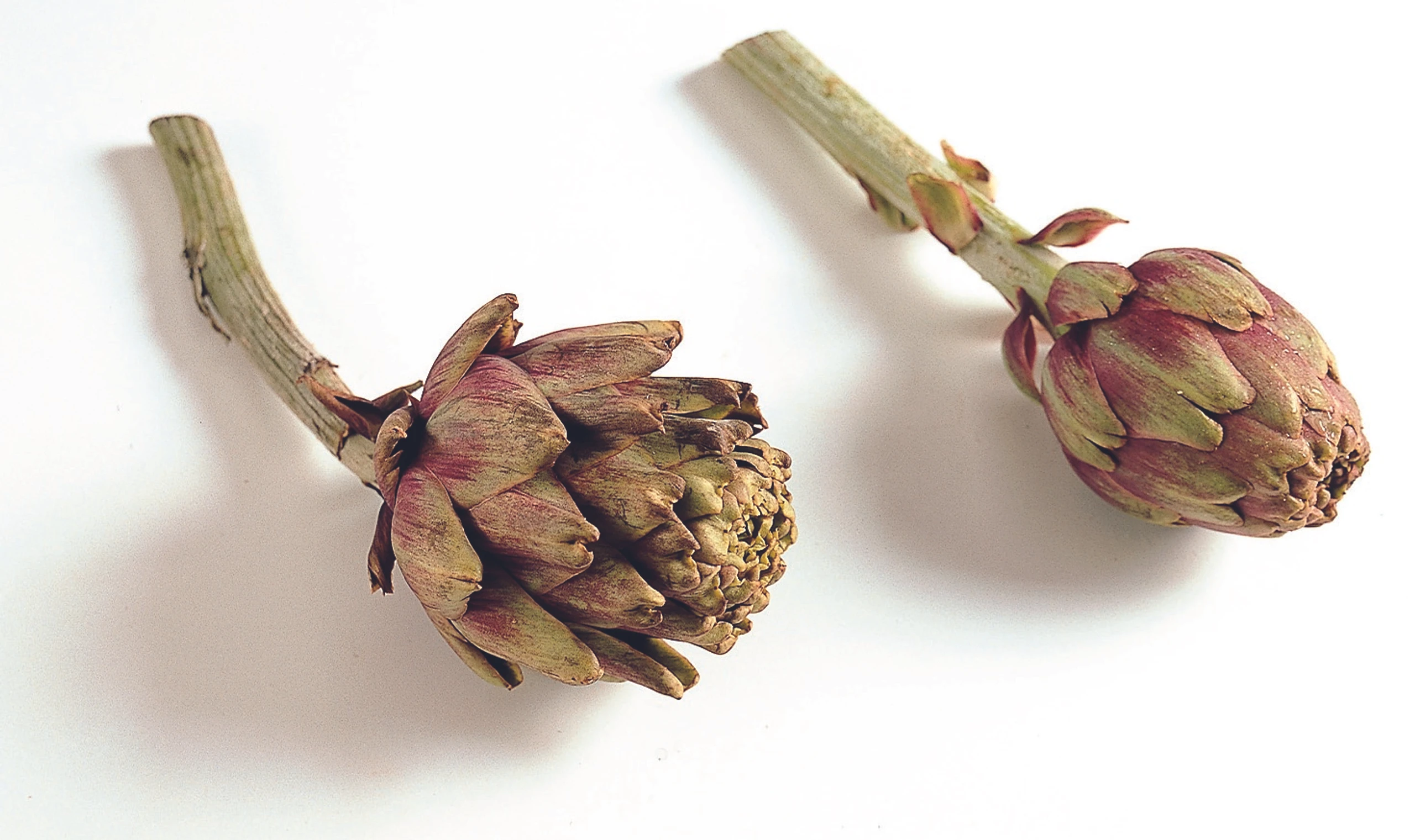 © GUSTO / Stefan Liewehr Blurred image background