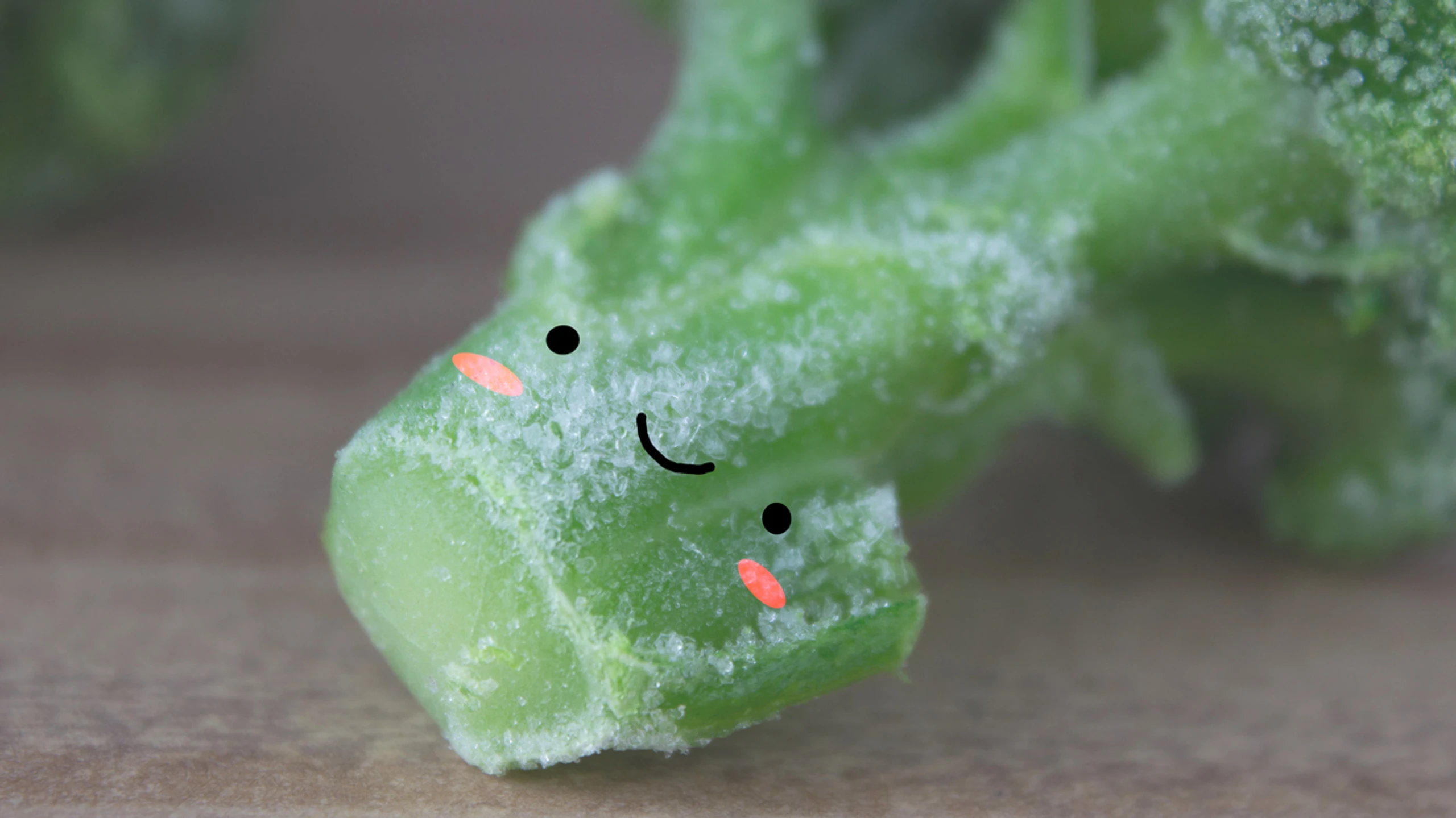 © iStock/liia-galimzianova tiefgekühlter Brokkoli