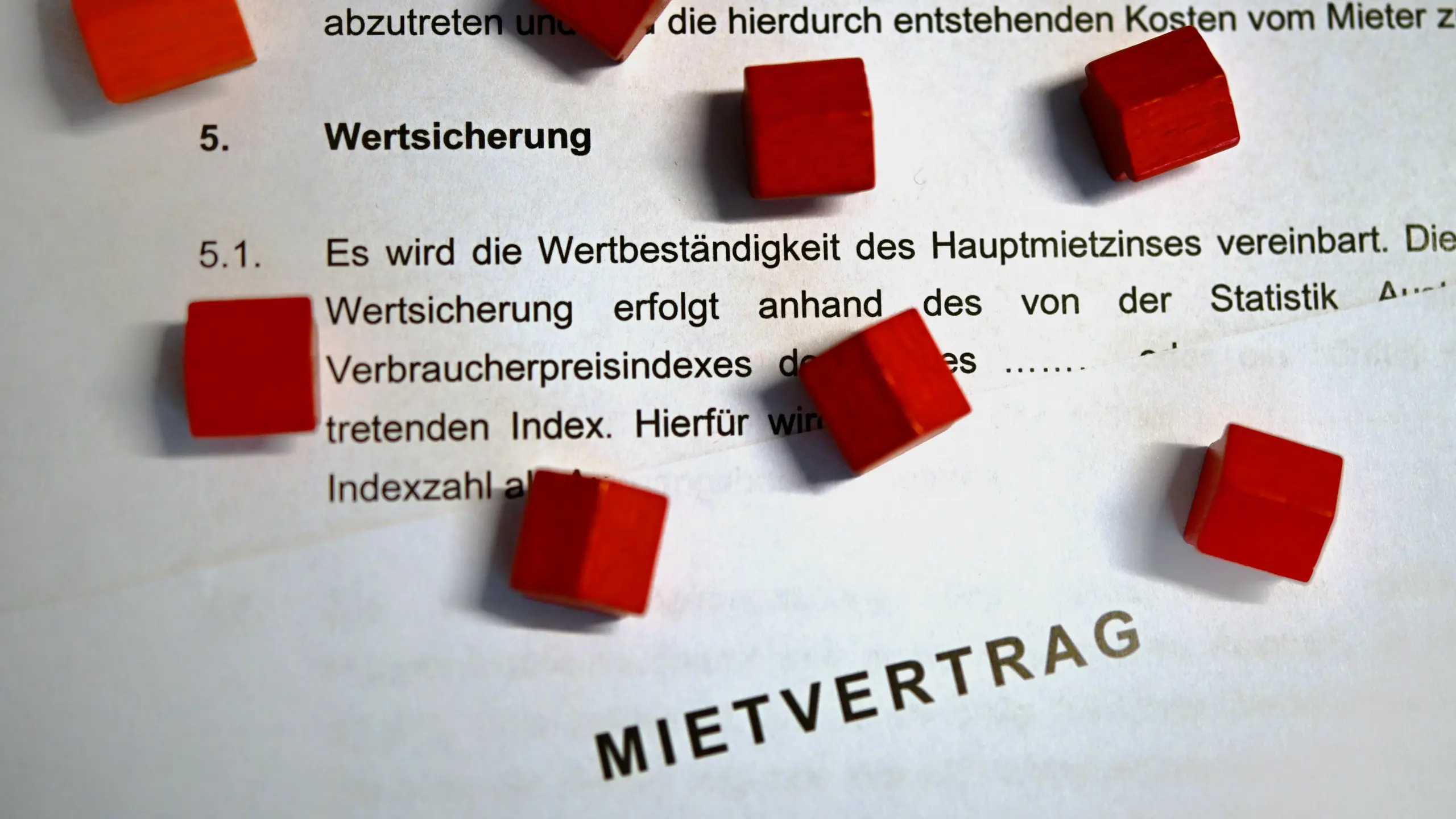 © APA/HARALD SCHNEIDER Artikelbild