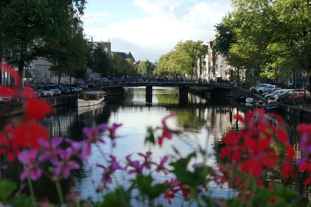 "Sail Amsterdam" ist das größte nautische Ereignis