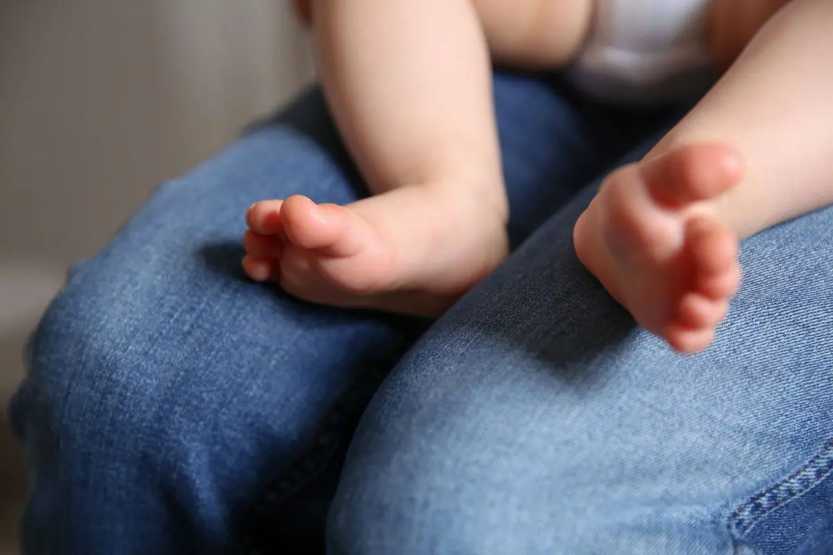 Die Untersuchung begleitet seit dem Jahr 2000 exakt 2.630 Familien