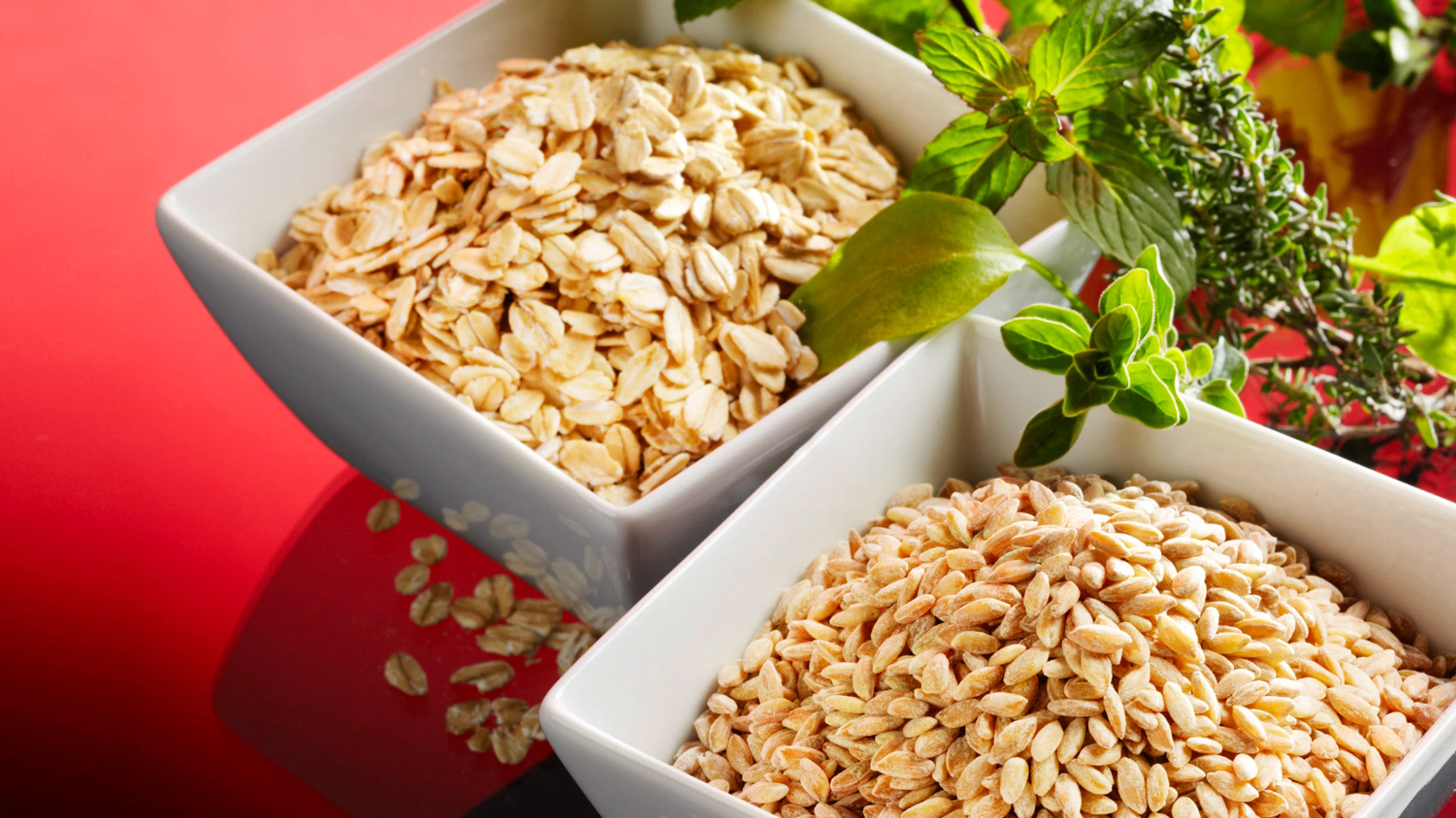 © GUSTO / Stefan Liewehr Getreide