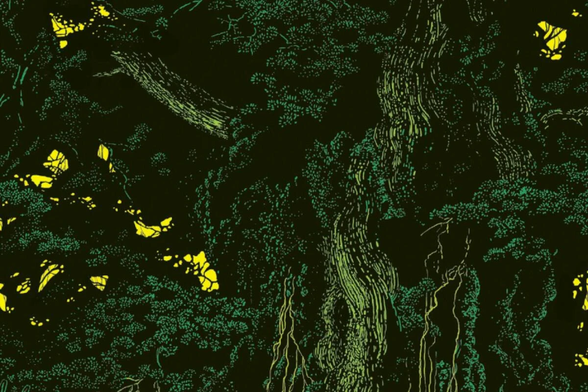 Elminger erzählt vom Urwald