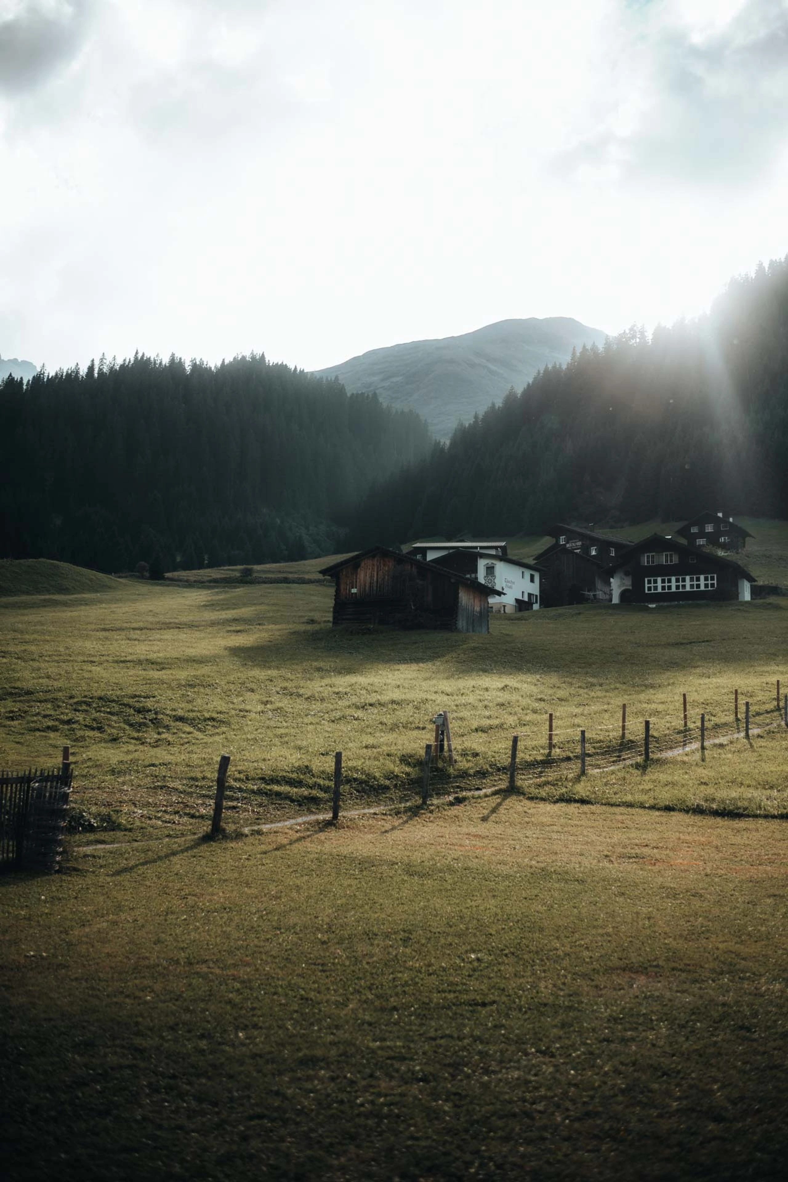 Blurred image background