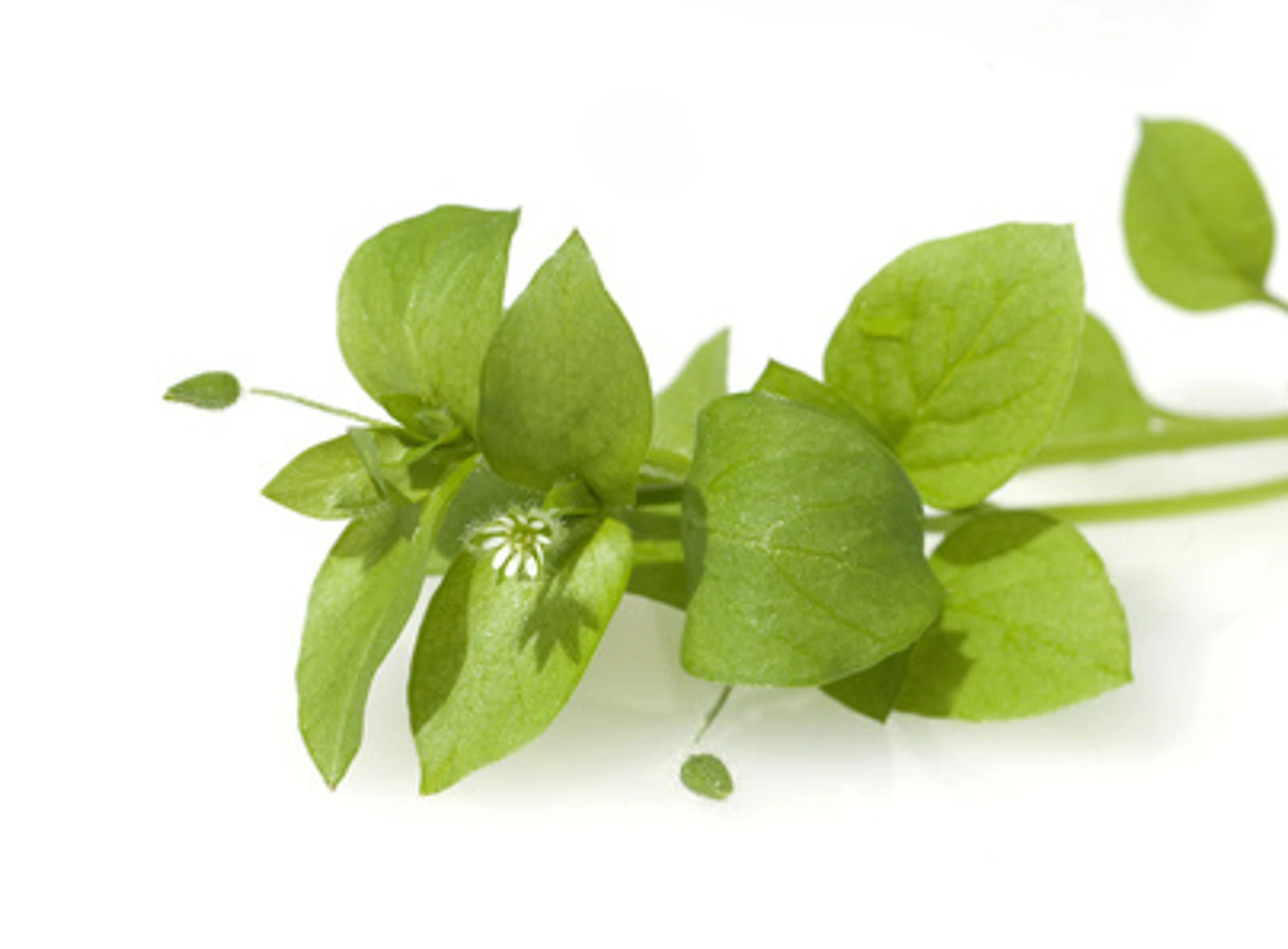 © emer - Fotolia.com Blurred image background