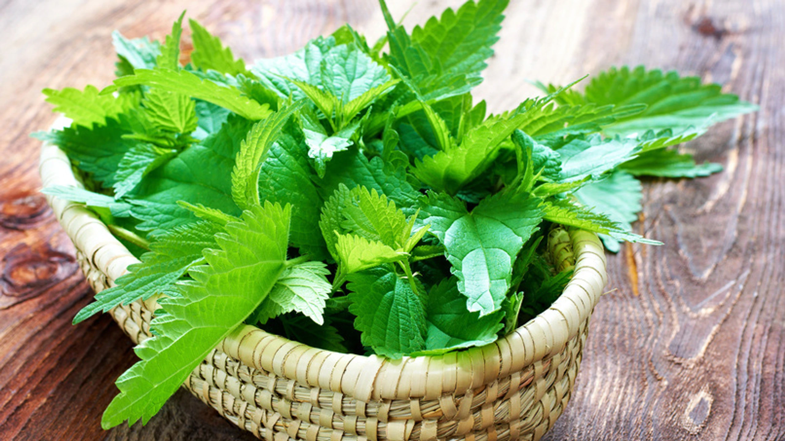 © Hetizia - Fotolia.com Brennessel im Korb