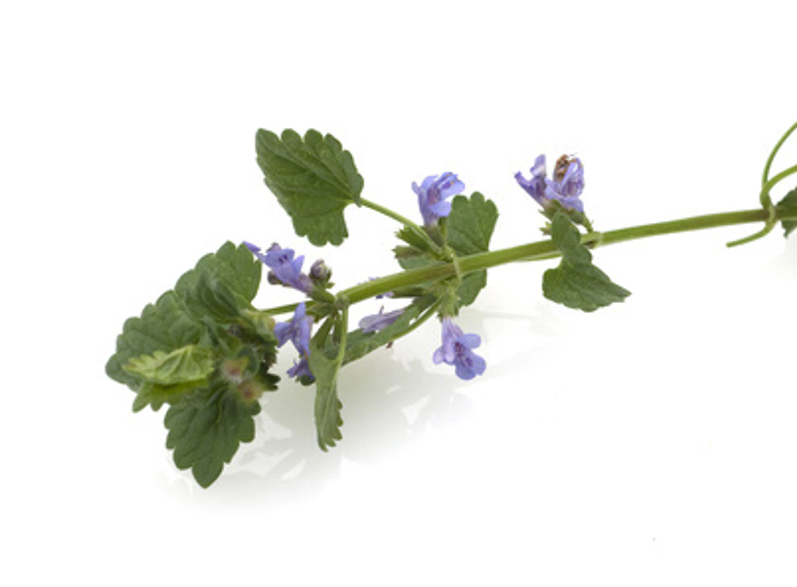 © emer - Fotolia.com Blurred image background