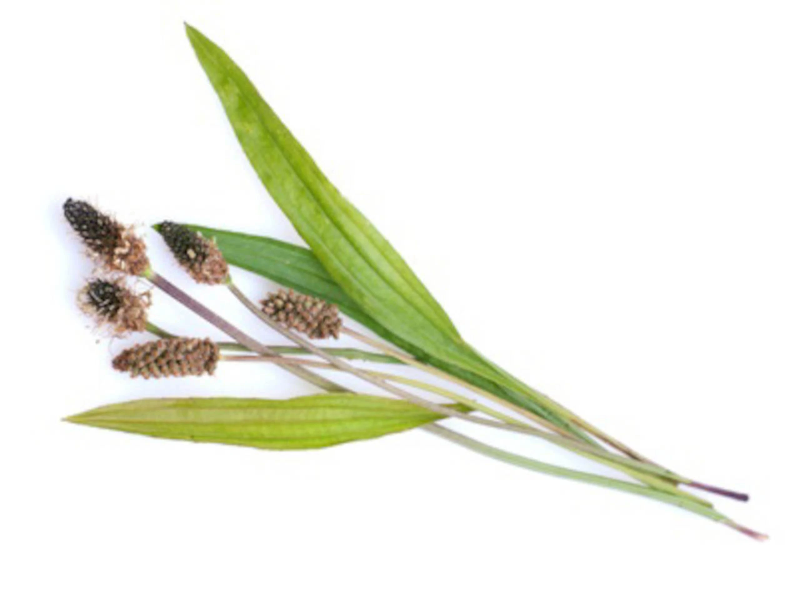 © Christian Jung - Fotolia.com Blurred image background