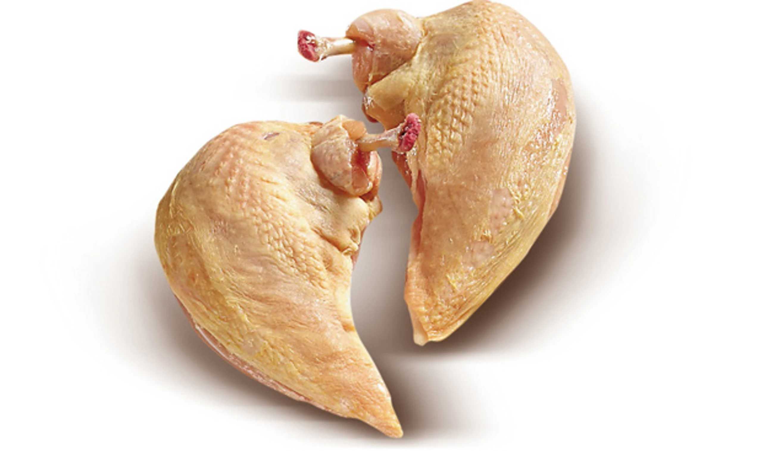 Blurred image background