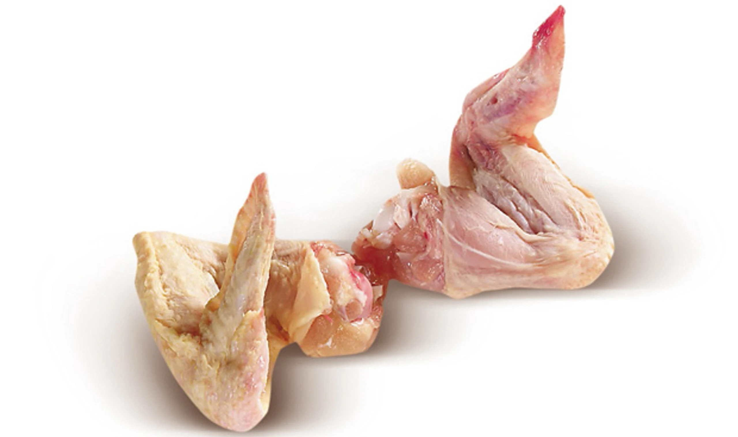 Blurred image background