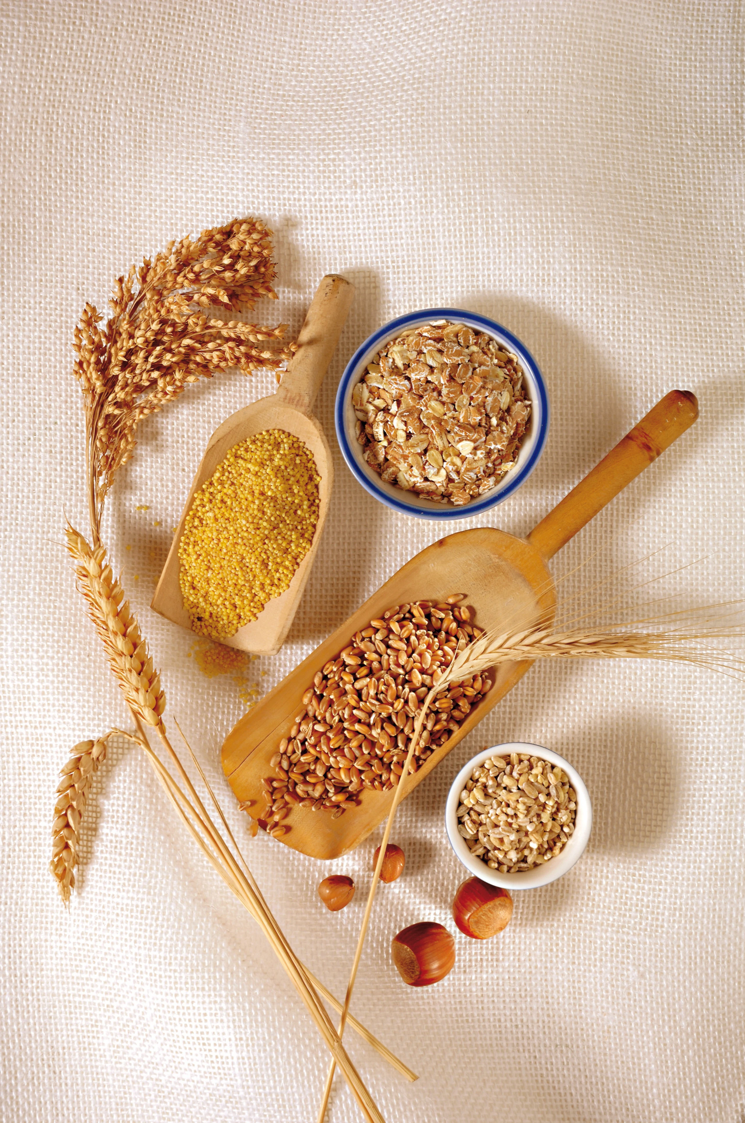 © GUSTO / Ulrike Köb Blurred image background