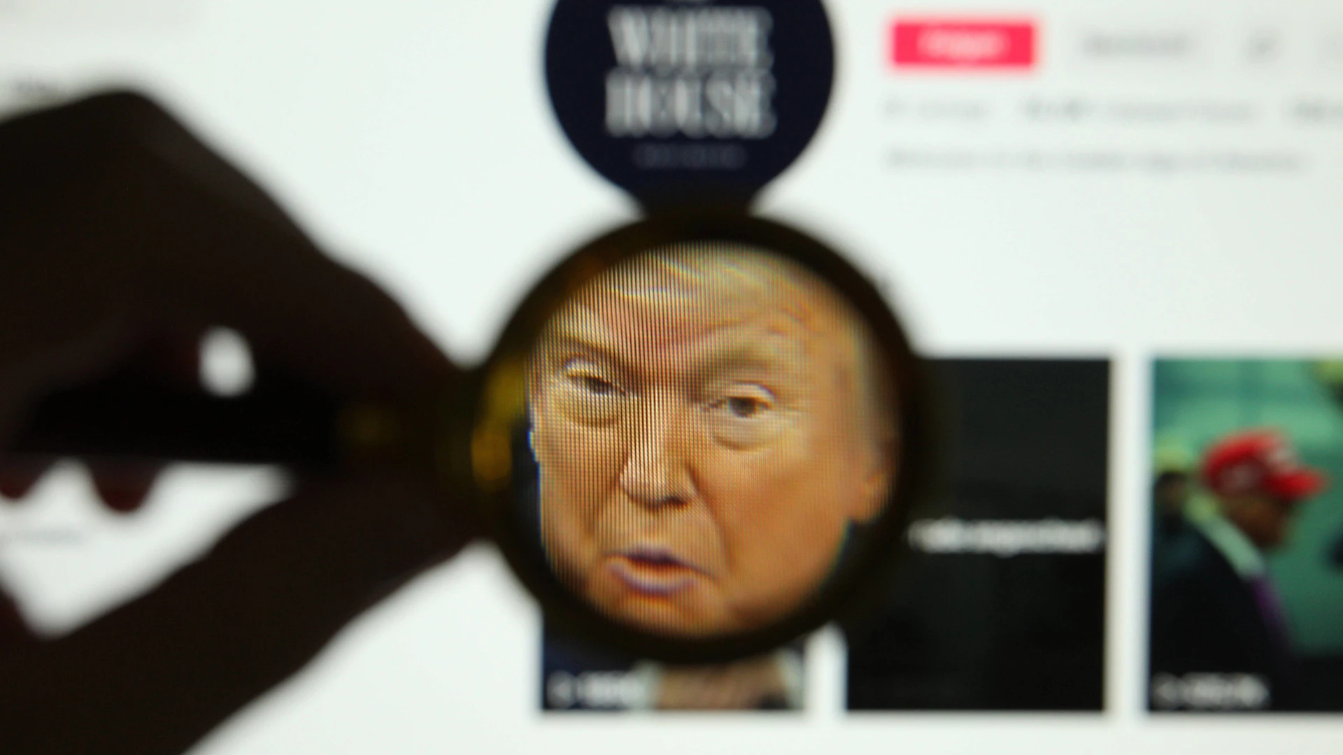 Politik und Social Media: Von Telekratie zu Digikratur