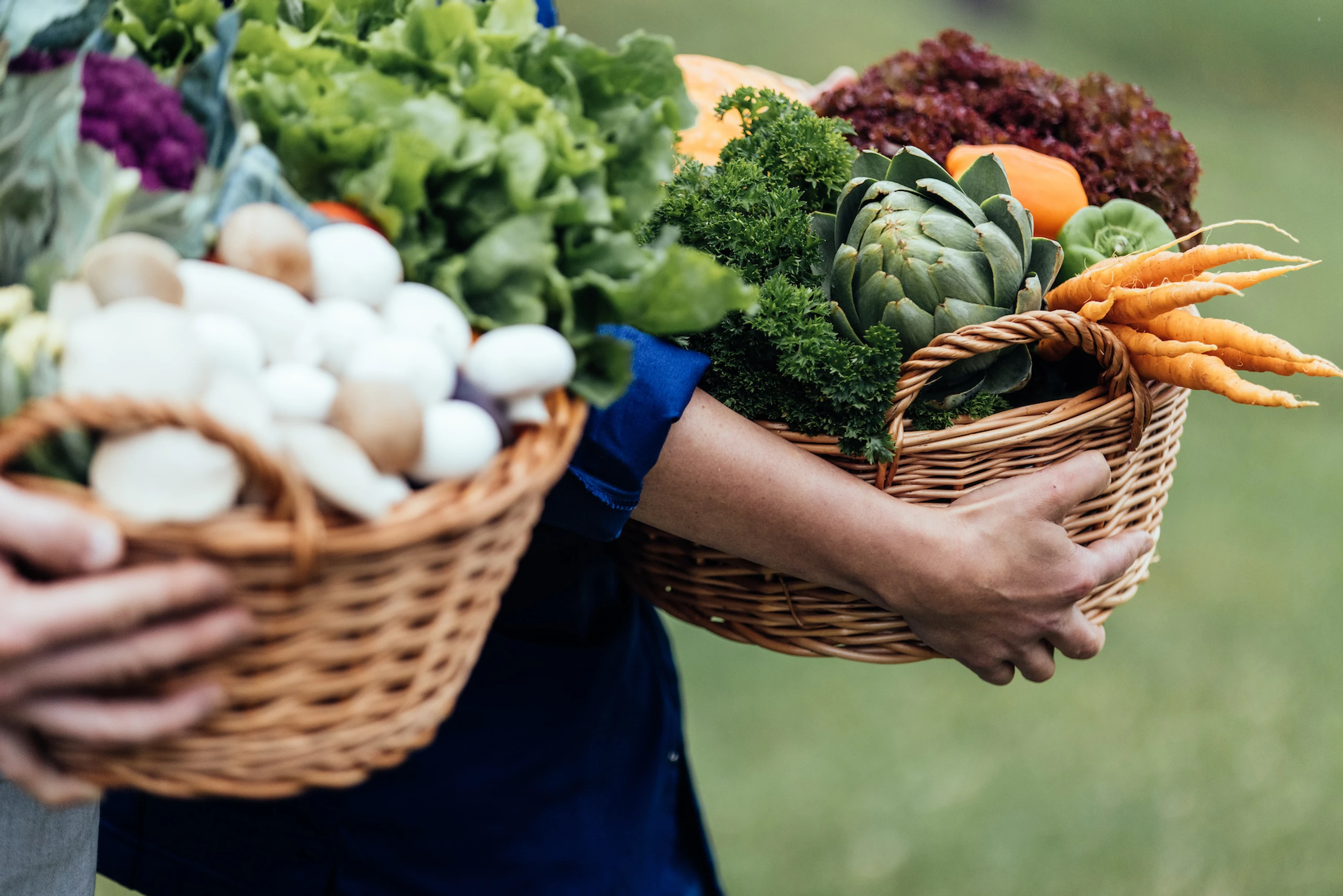 © Bleib Berg / Humanomed Blurred image background