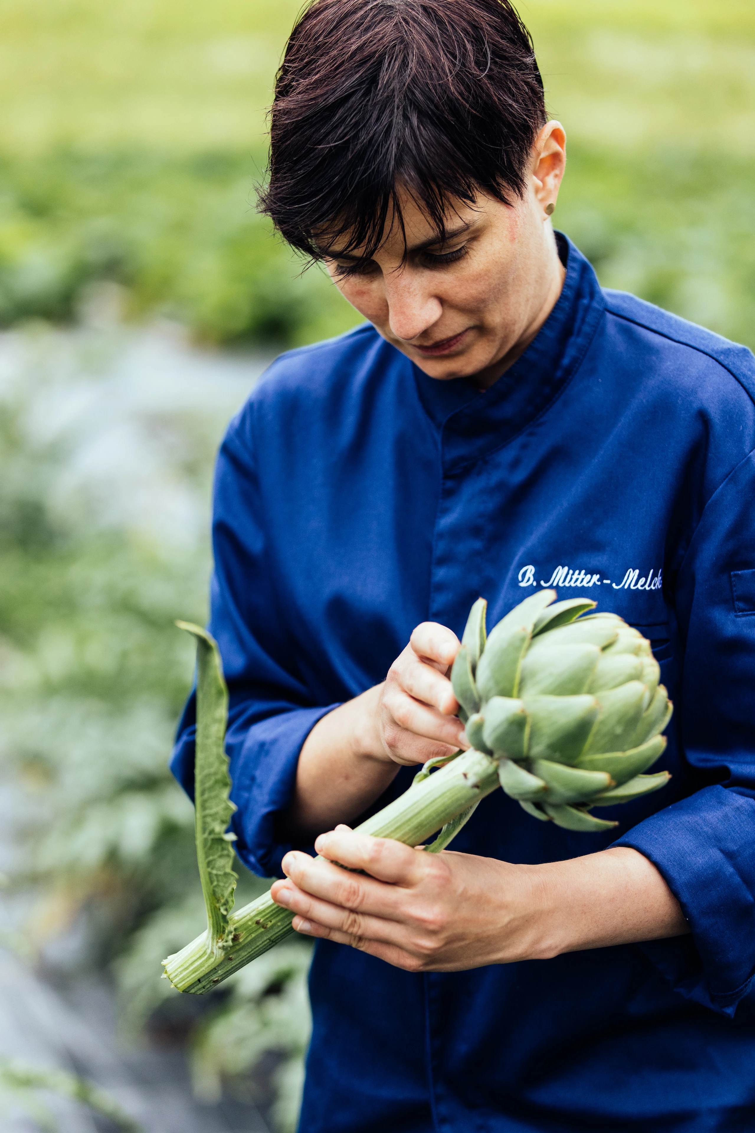 © Bleib Berg / Humanomed Artischocke