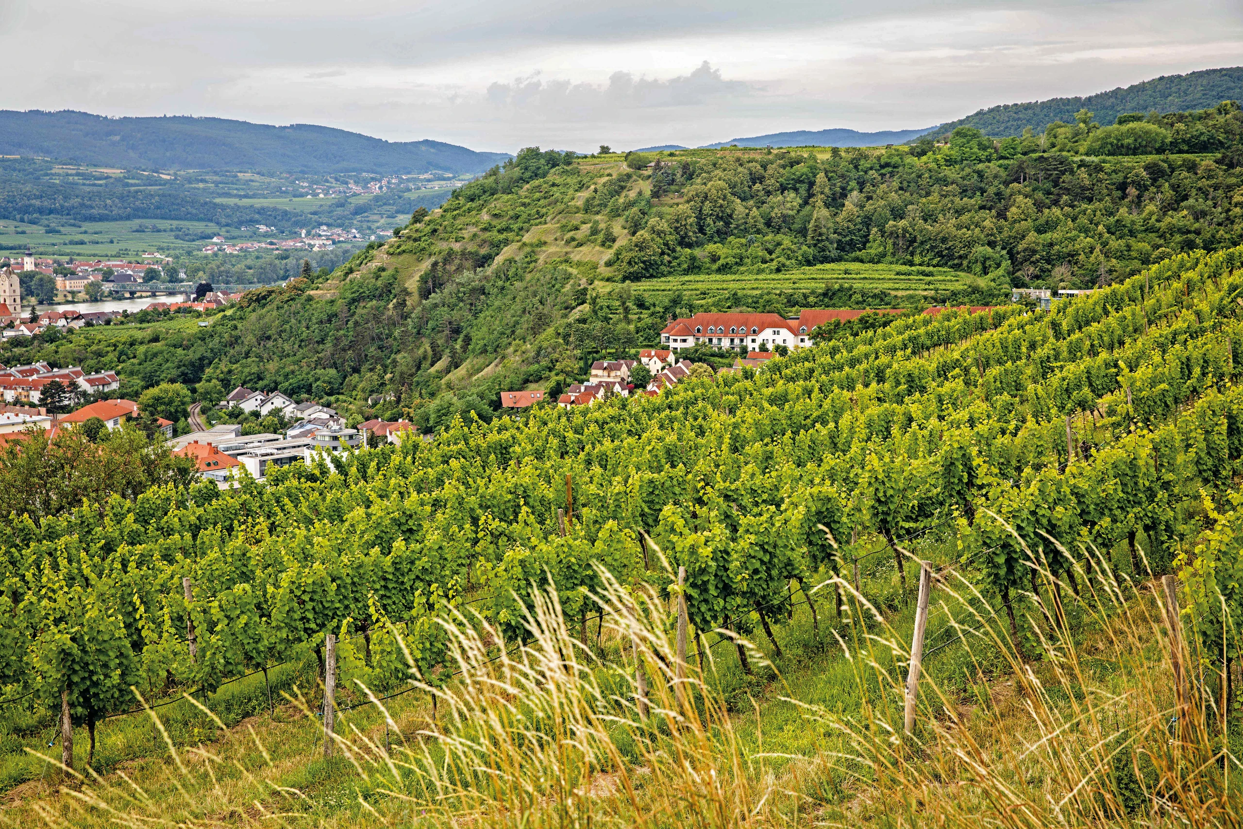 © GUSTO / Nadine Poncioni Blurred image background