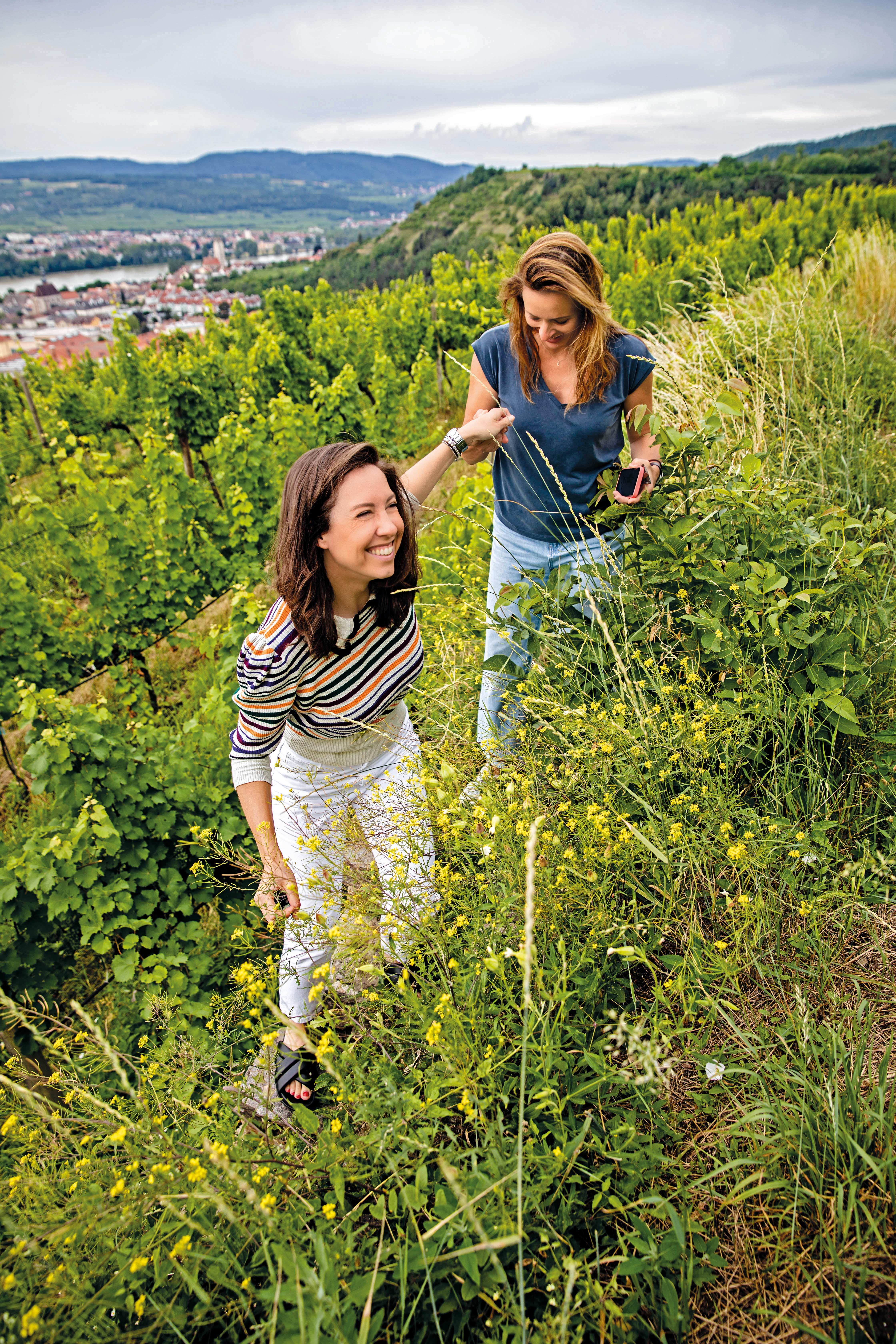 Blurred image background