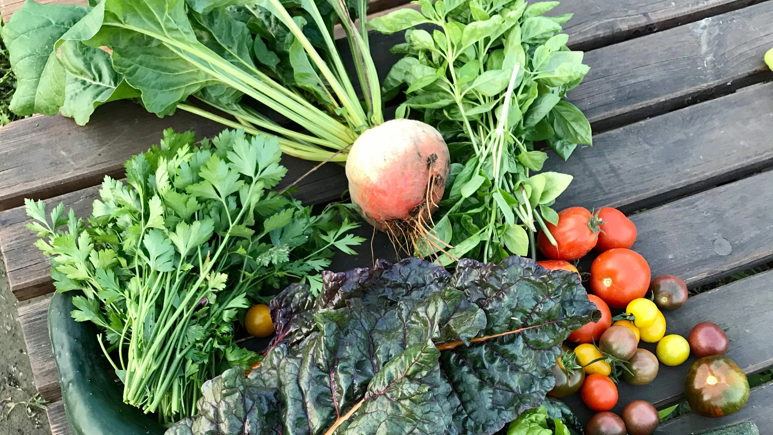 © Melisa Hadzic Garten-Gemüse