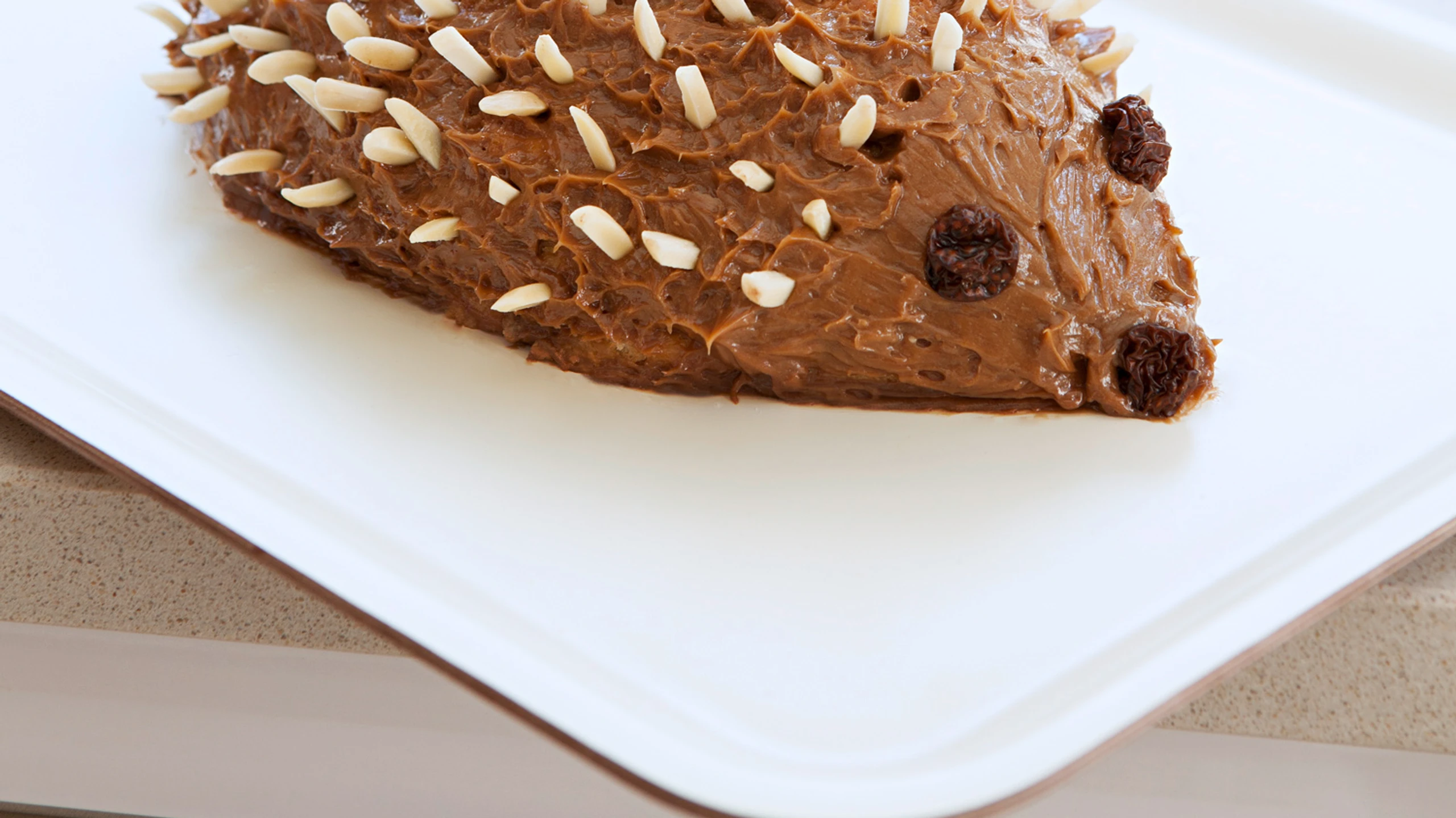 Schoko-Igel mit Biskotten