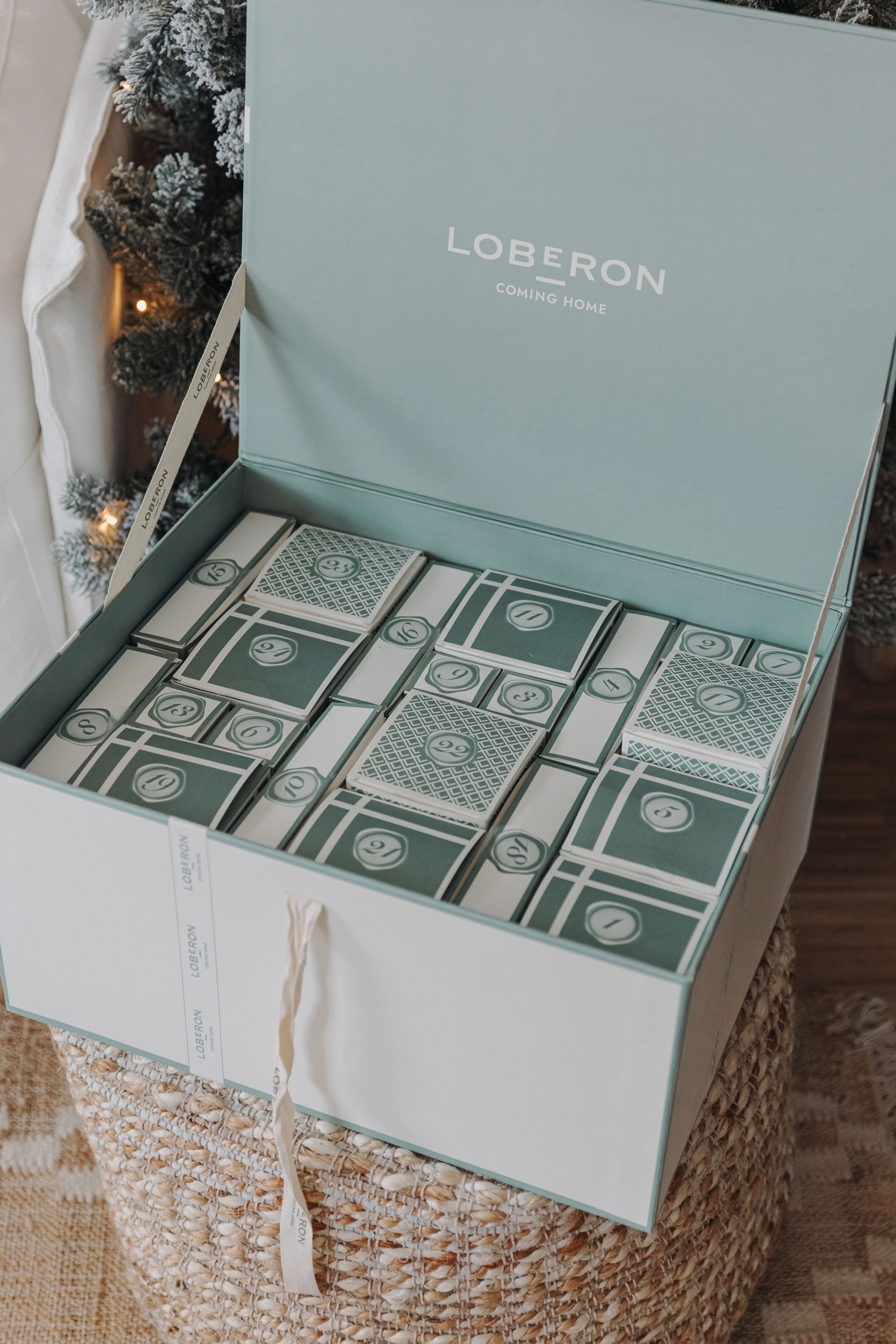 Blurred image background