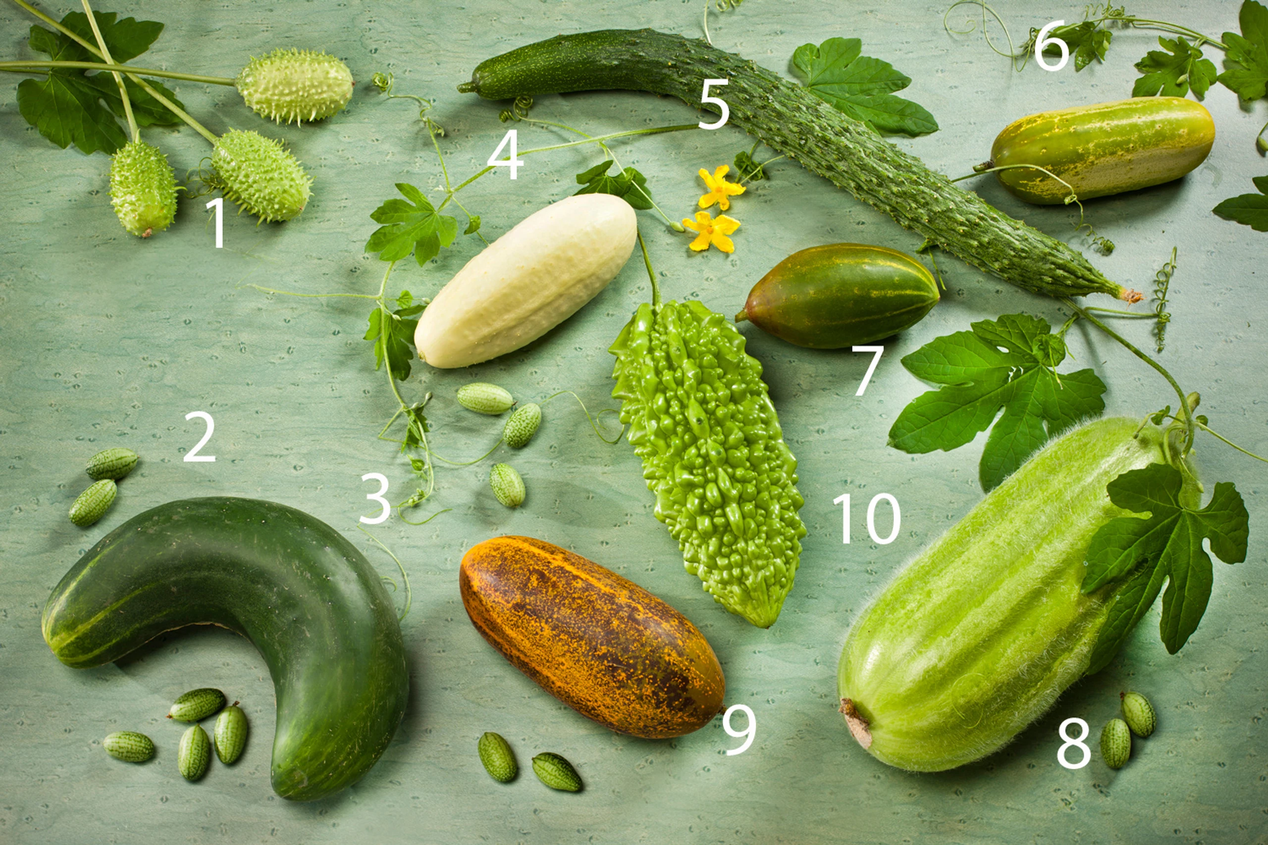 Blurred image background