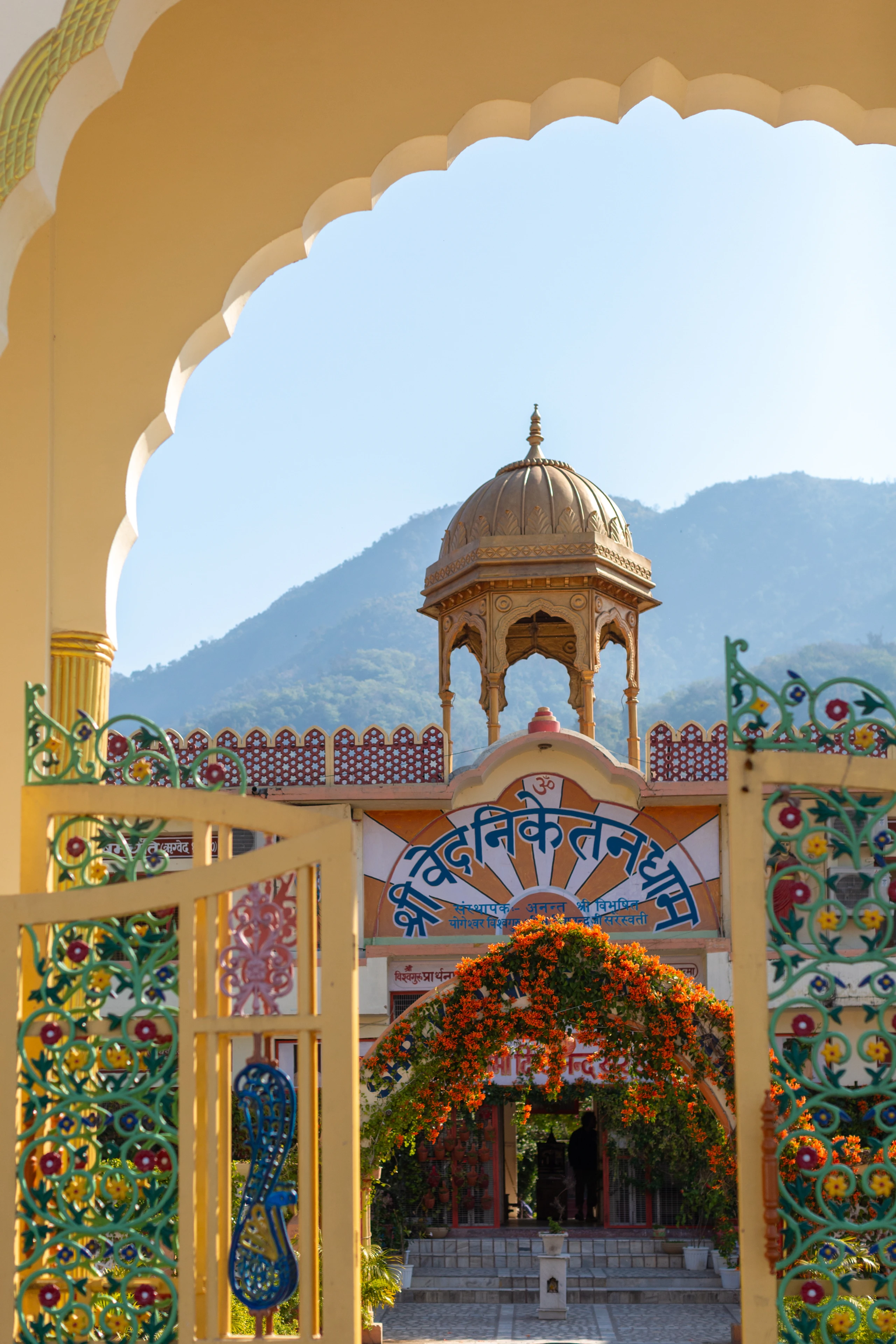 Blurred image background