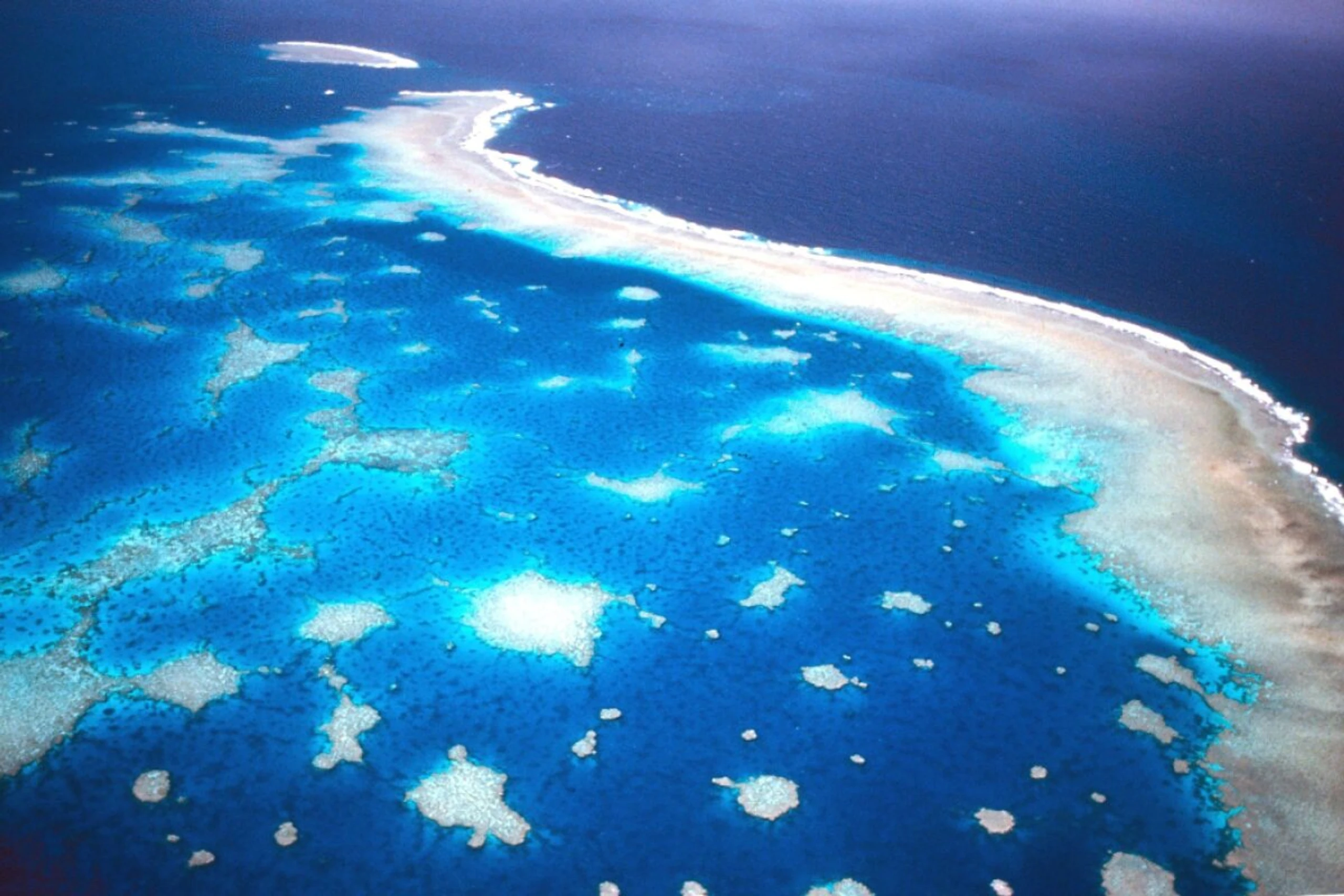Luftaufnahme des Great Barrier Riffs vor der Küste Australiens