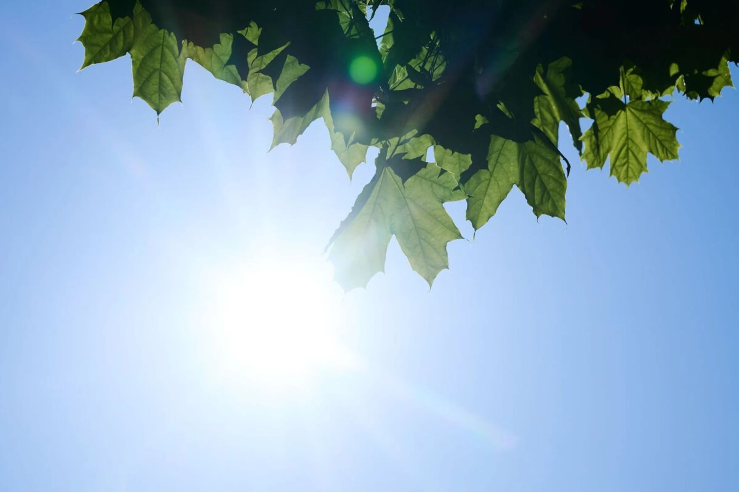 ++ ARCHIVBILD ++ Entscheidende Verringerung der ozonschädigenden Substanzen