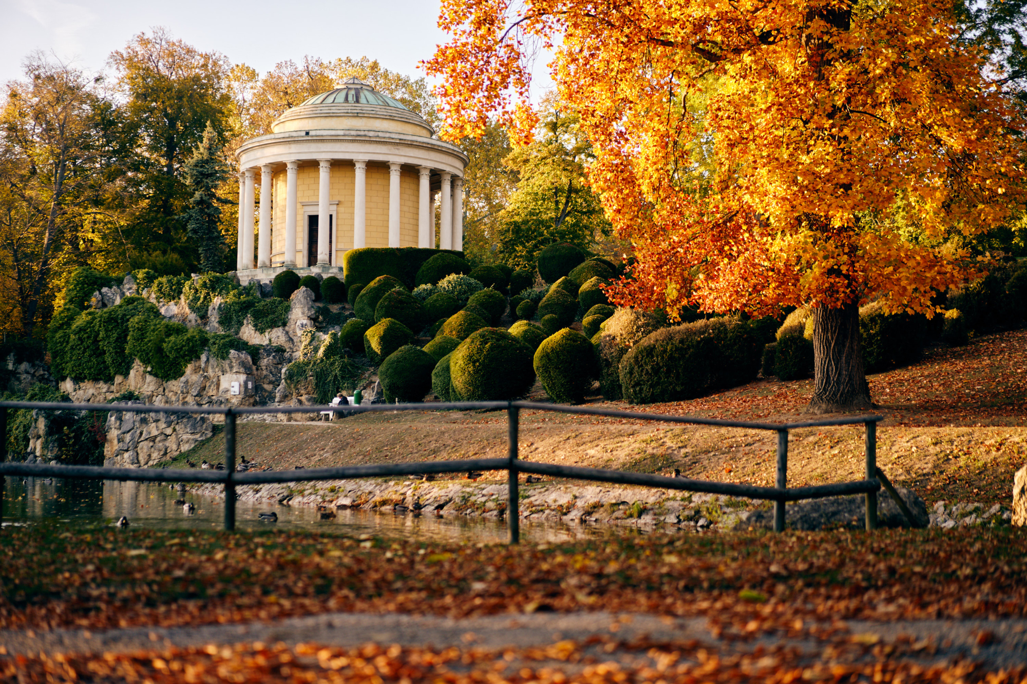 Blurred image background