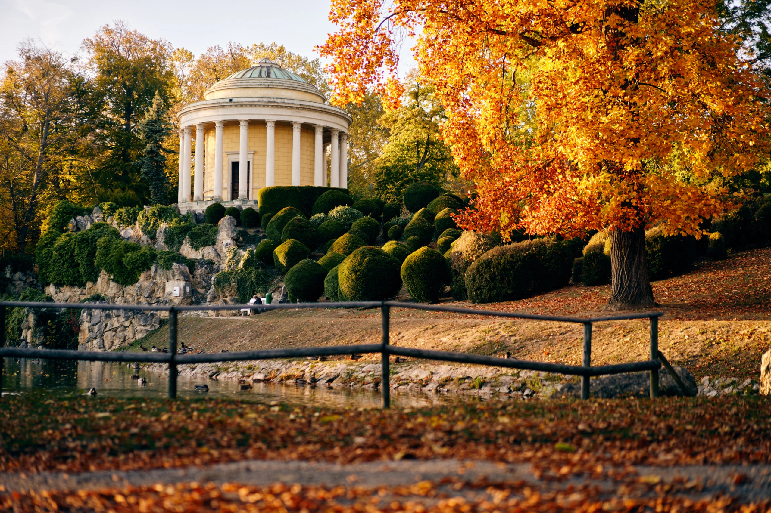 © Tommi Schmid Blurred image background