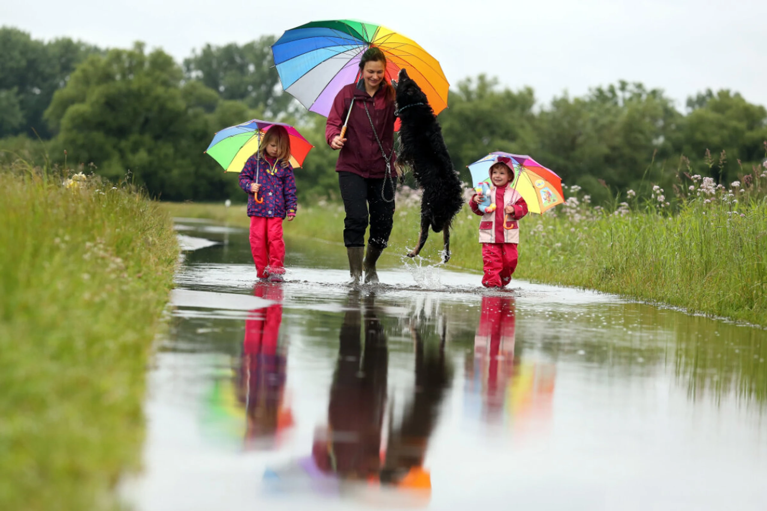 Gerade auch in der Pandemie sei ein Vierbeiner für viele hilfreich gewesen