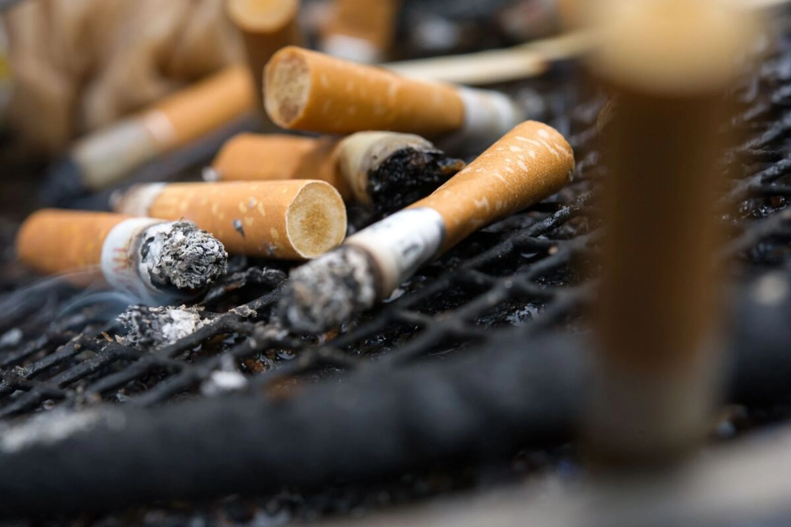 Zwölf Millionen Menschenleben könnten gerettet werden