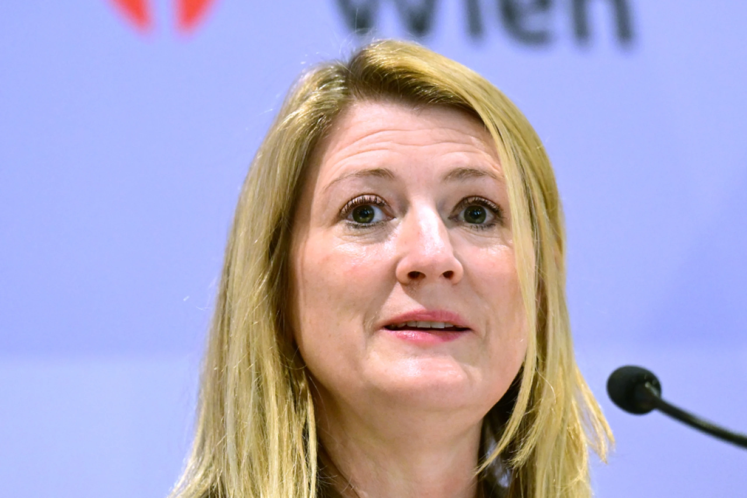 Vizebürgermeisterin Bettina Emmerling präsentierte die Strategie