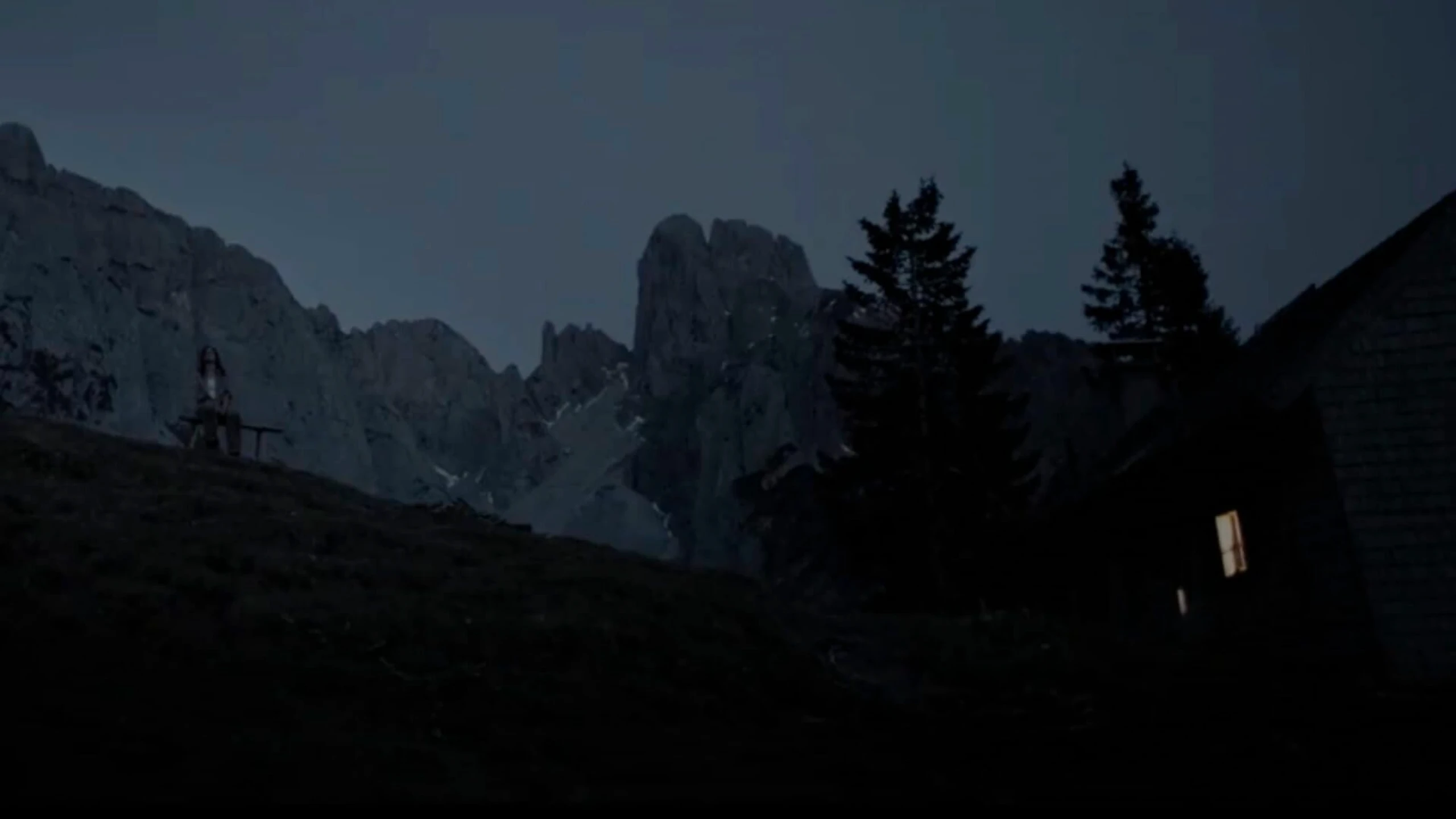 Die Wand (Director's Cut)