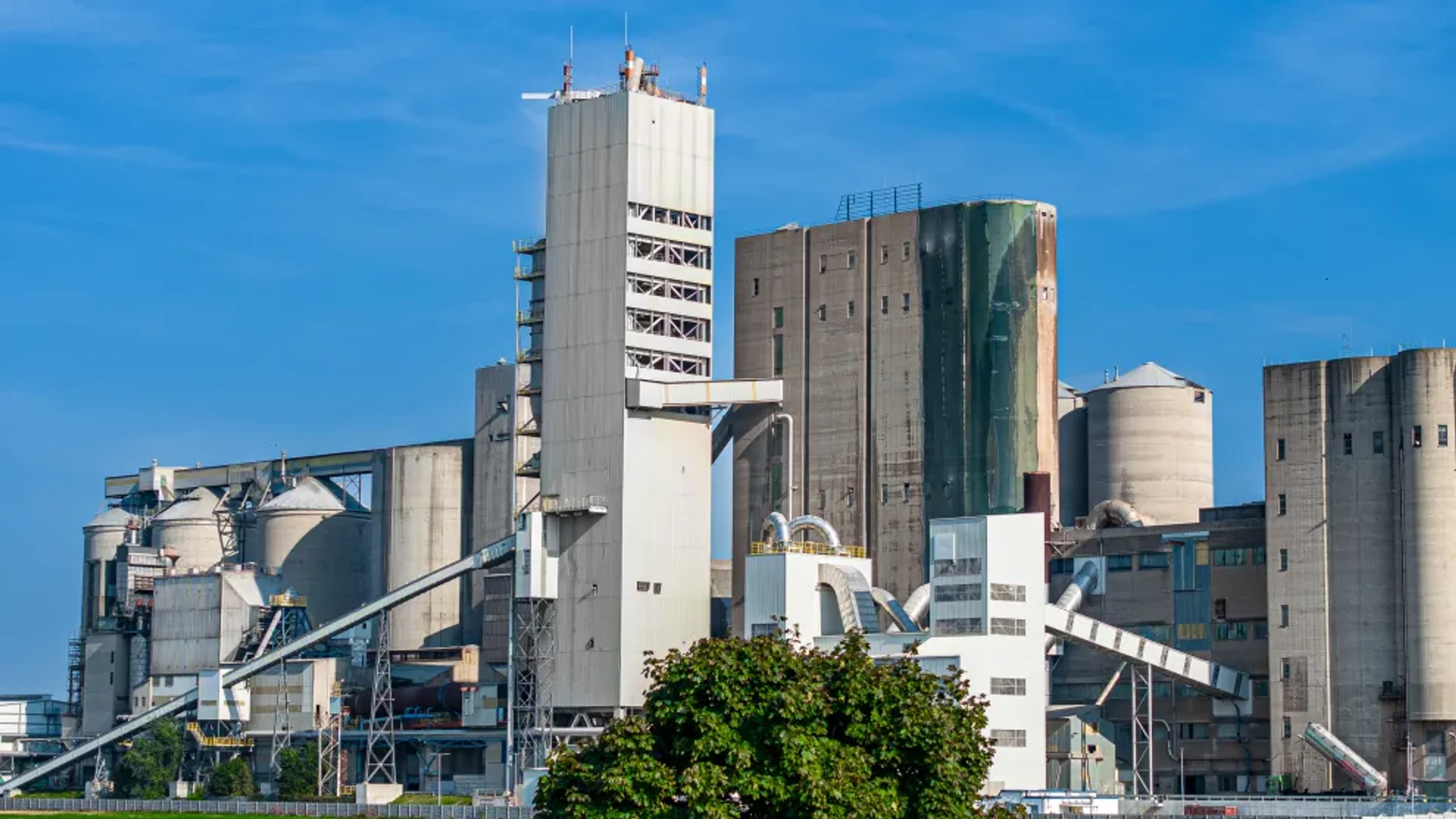 Industriestrategie: CEOs wollen klaren Klimakurs bis 2050