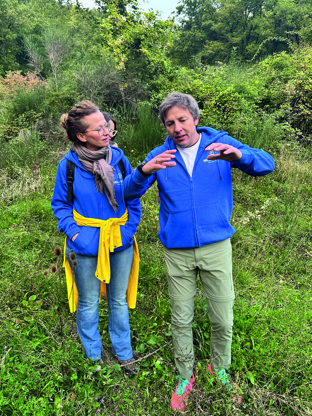 Blurred image background