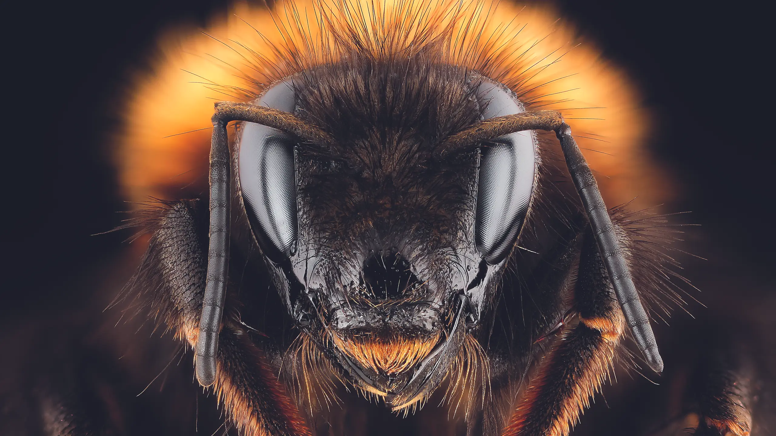 © Getty Images Artikelbild