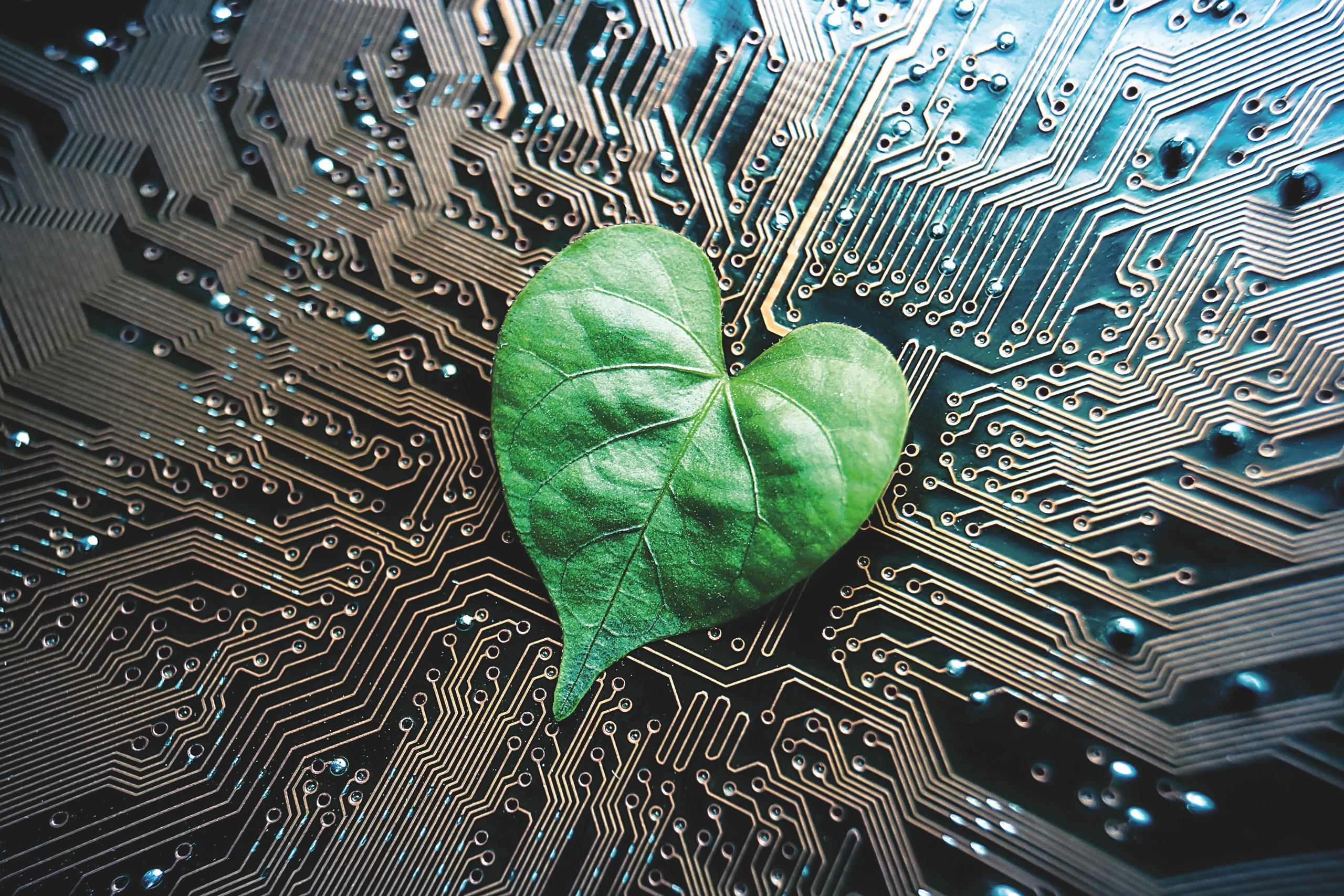 Rechnen mit gutem Gewissen