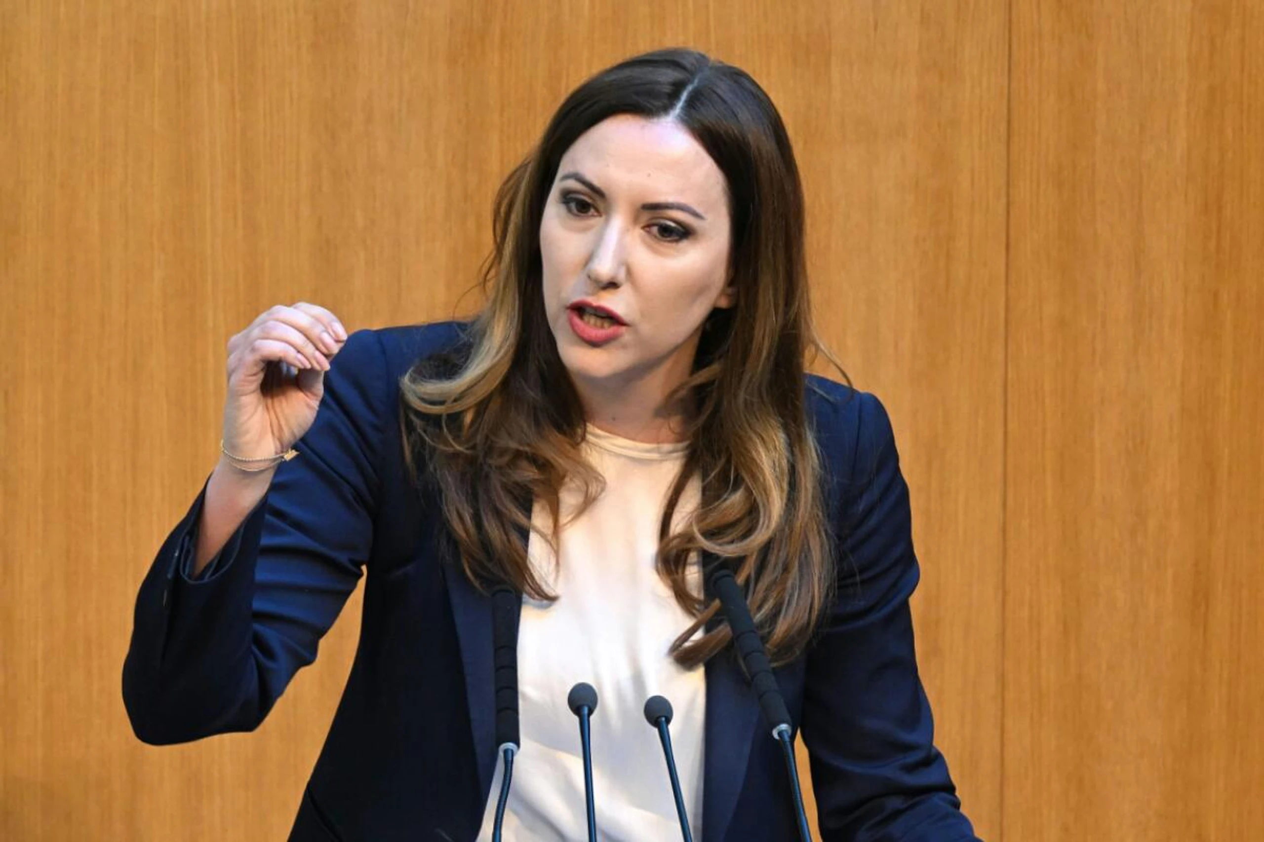 Steger will "Propagandanetzwerke abdrehen"