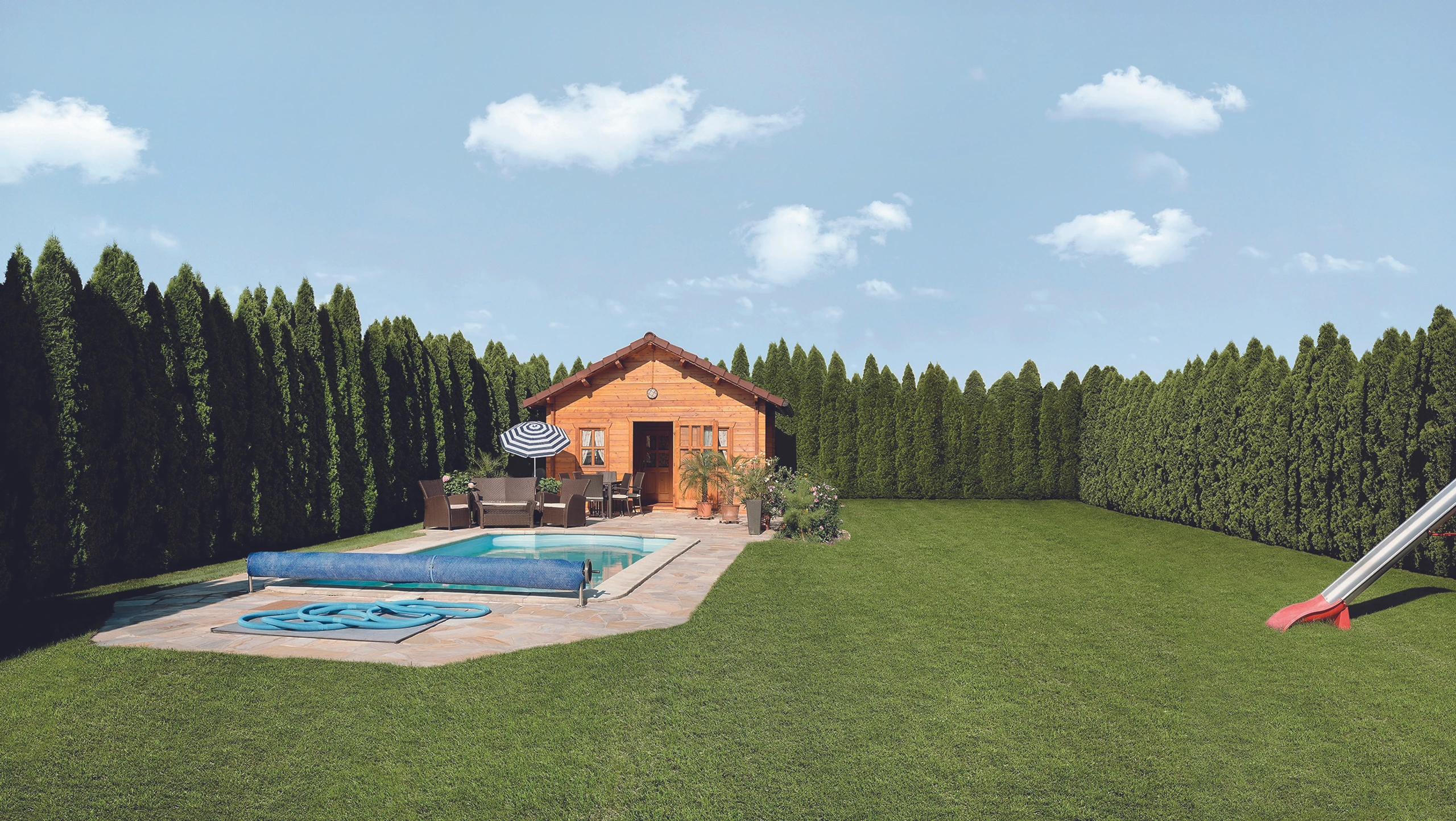 Blurred image background