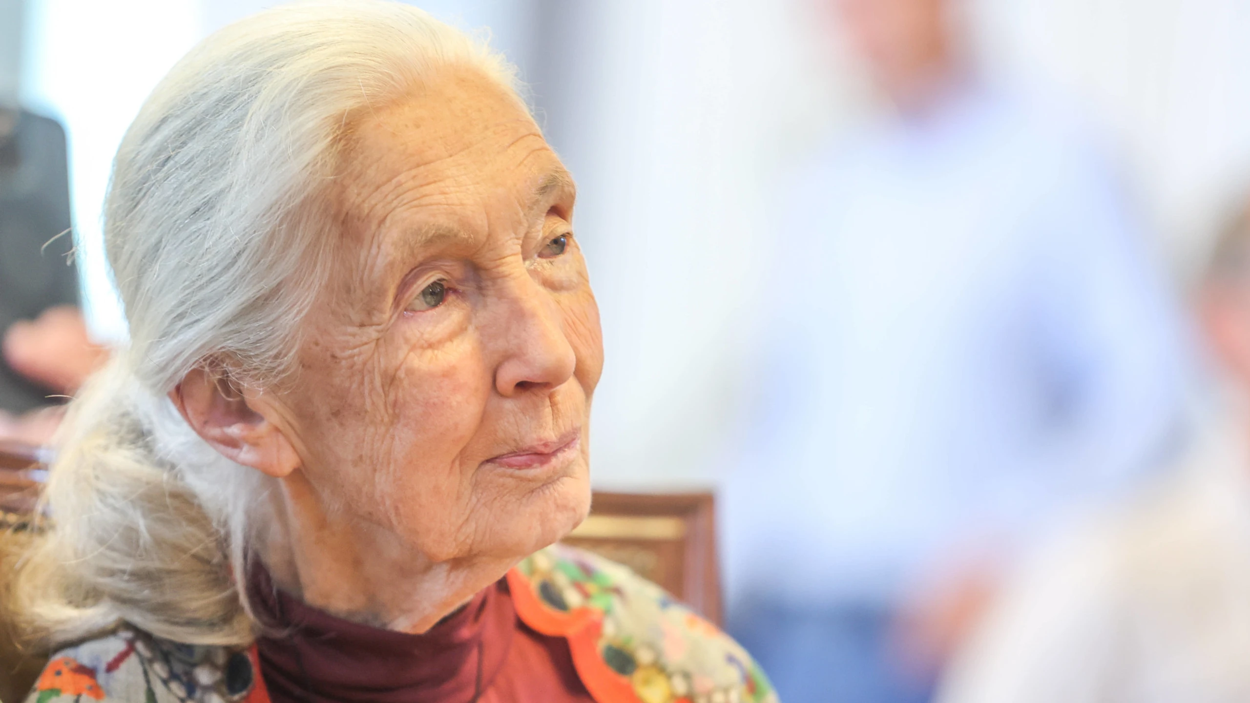 Primatenforscherin Jane Goodall gestorben