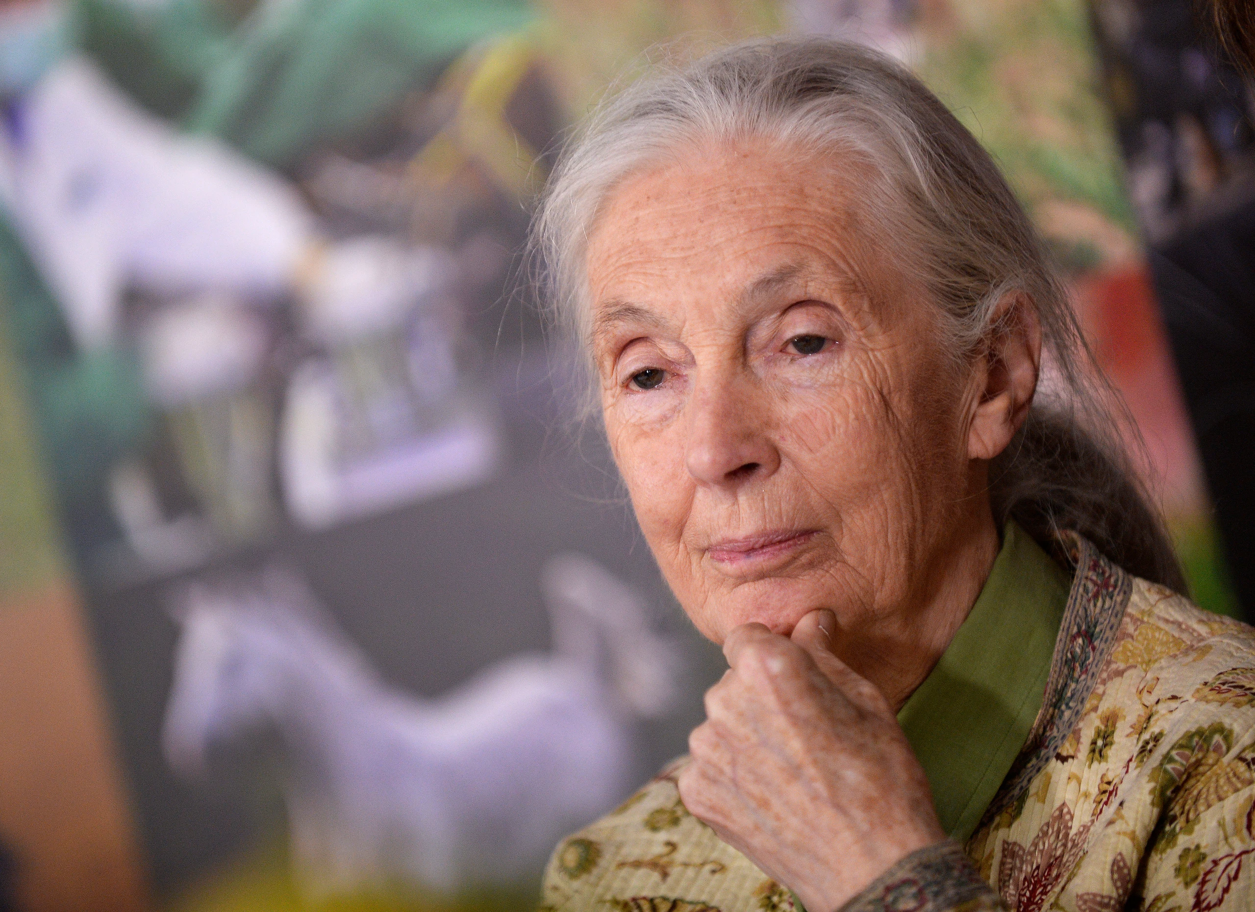 Jane Goodall: „Die Welt ist nicht schwarz-weiß“