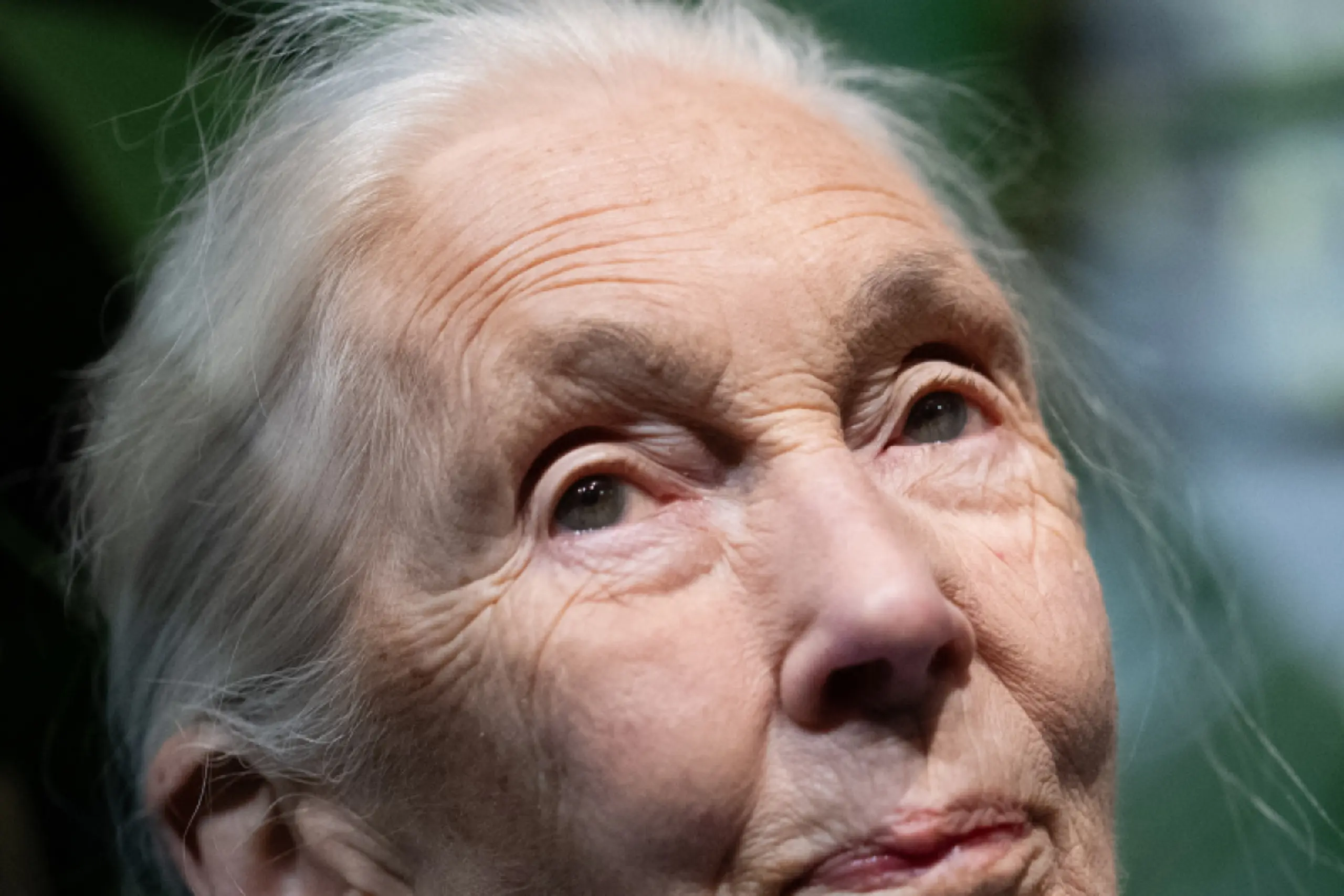 Jane Goodall (Archivbild)