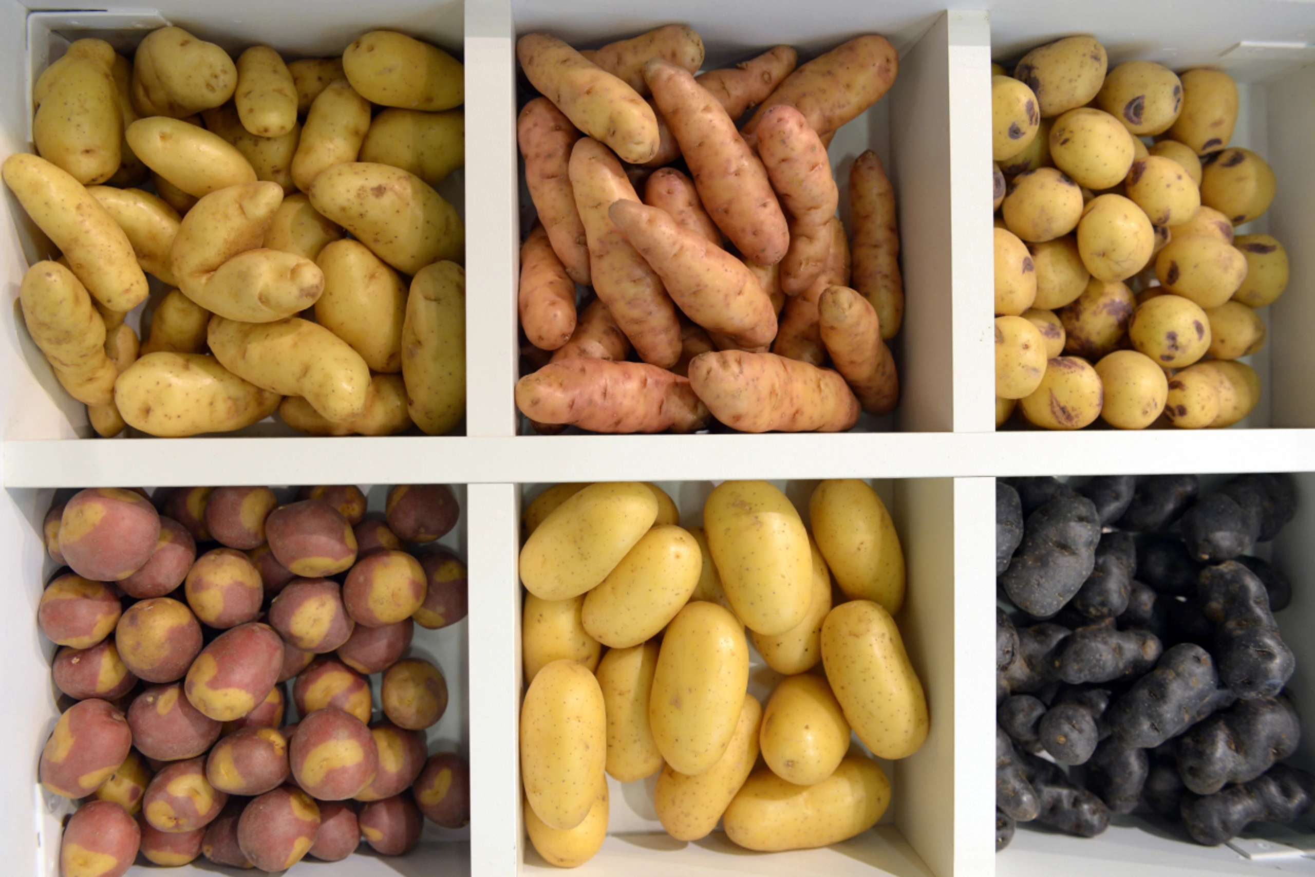 Kartoffeln gelten als gesund - vollkommen zurecht