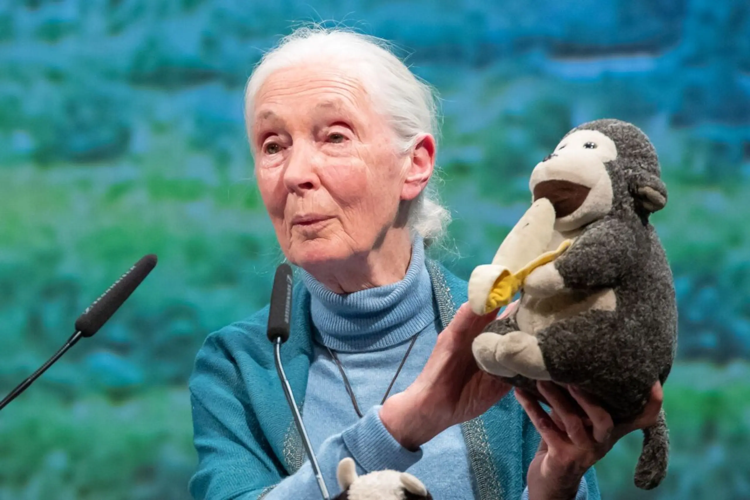 ++ ARCHIVBILD ++ Jane Goodall wurde 91 Jahre alt